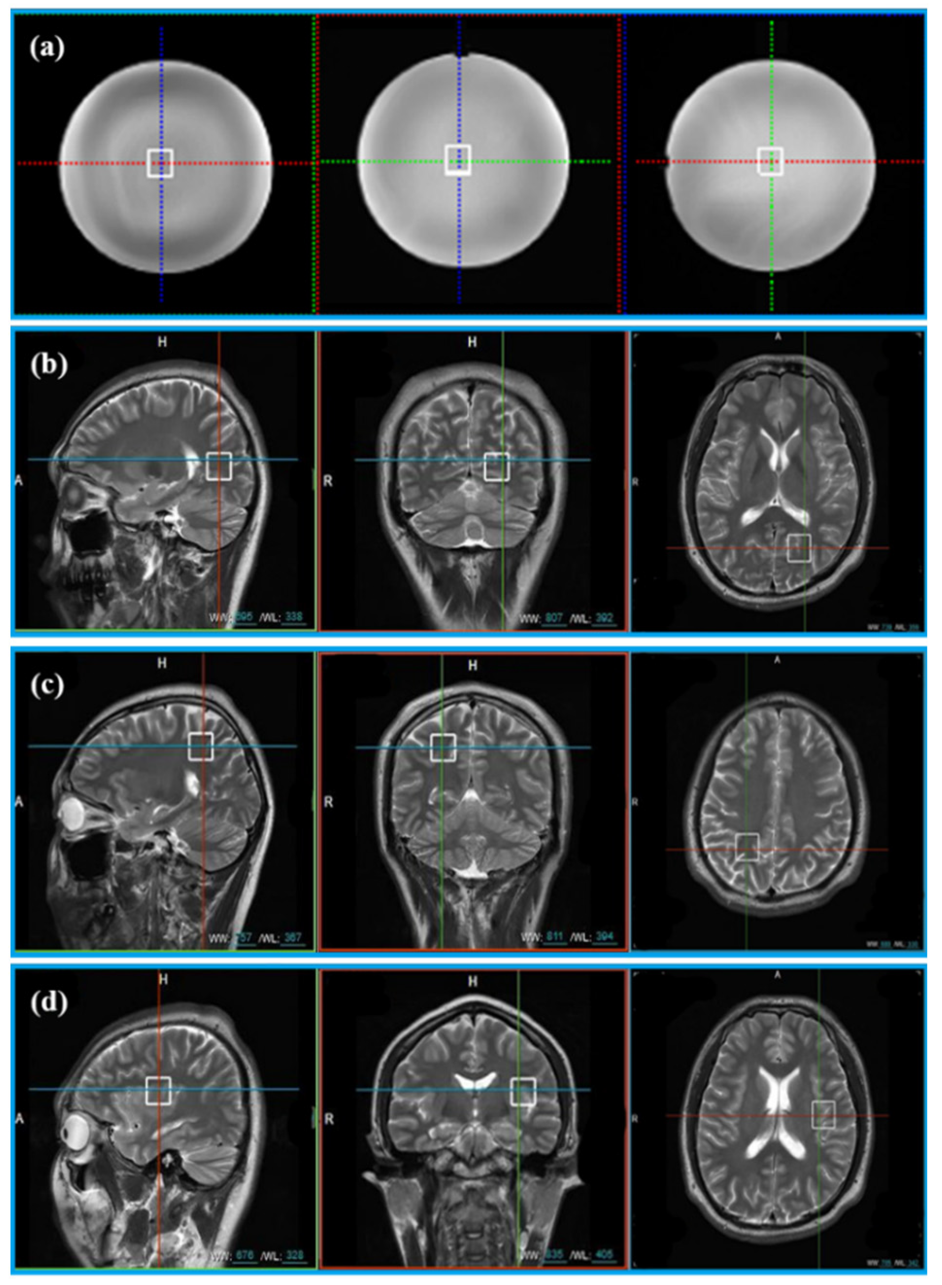 Molecules 26 03896 g002