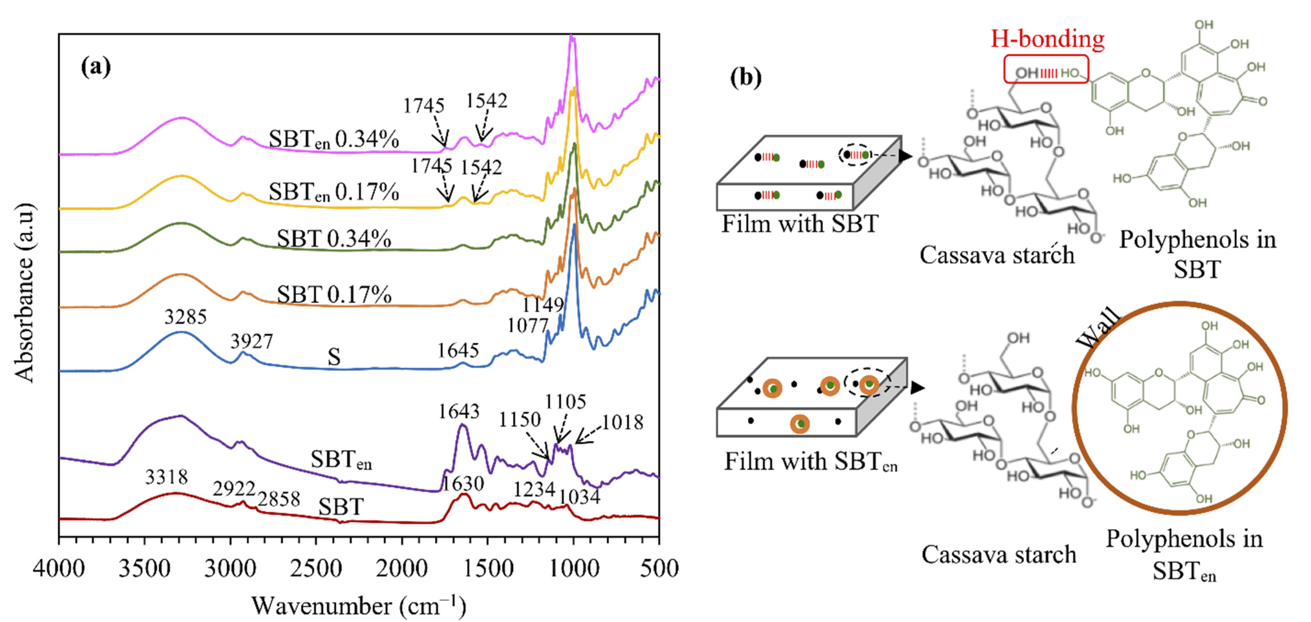 Molecules 26 03898 g001