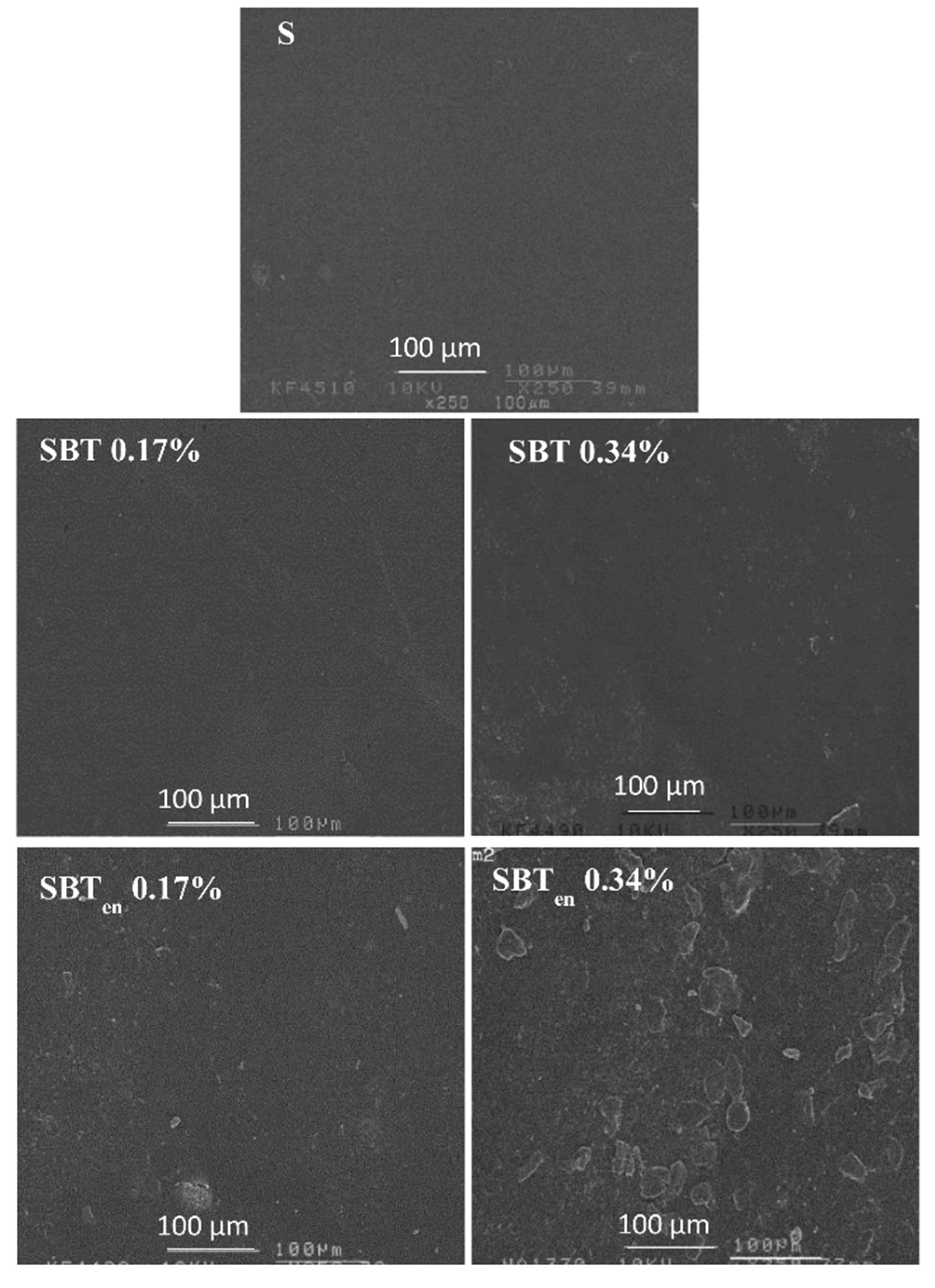 Molecules 26 03898 g002