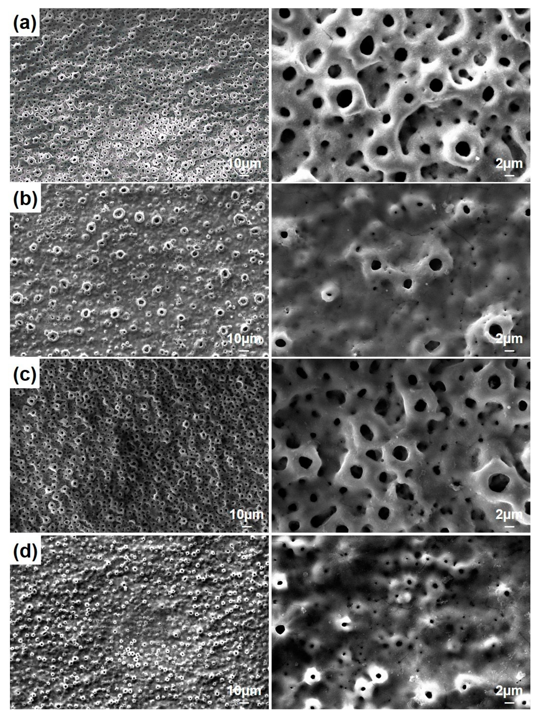 Molecules 26 03903 g003