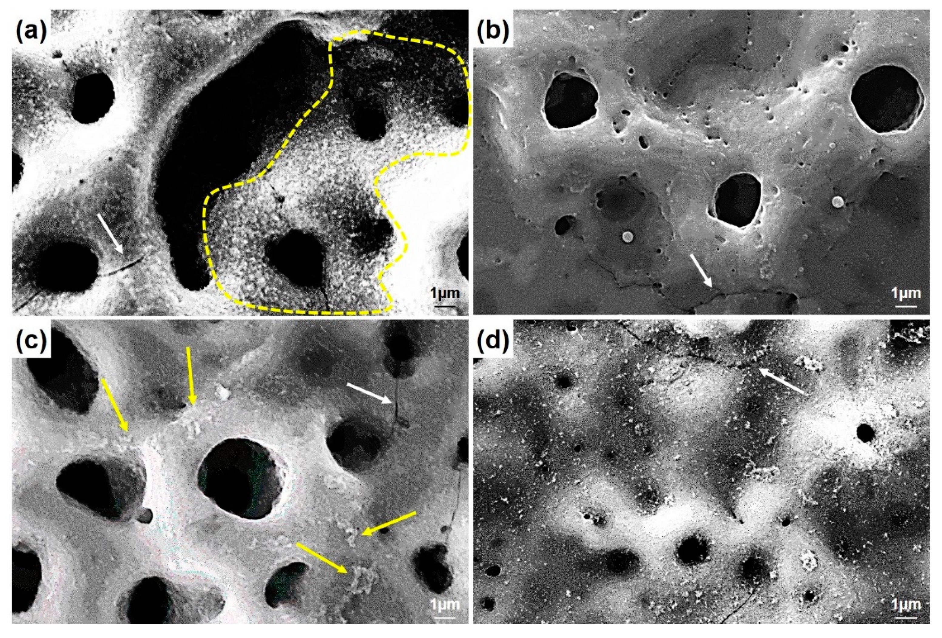 Molecules 26 03903 g004