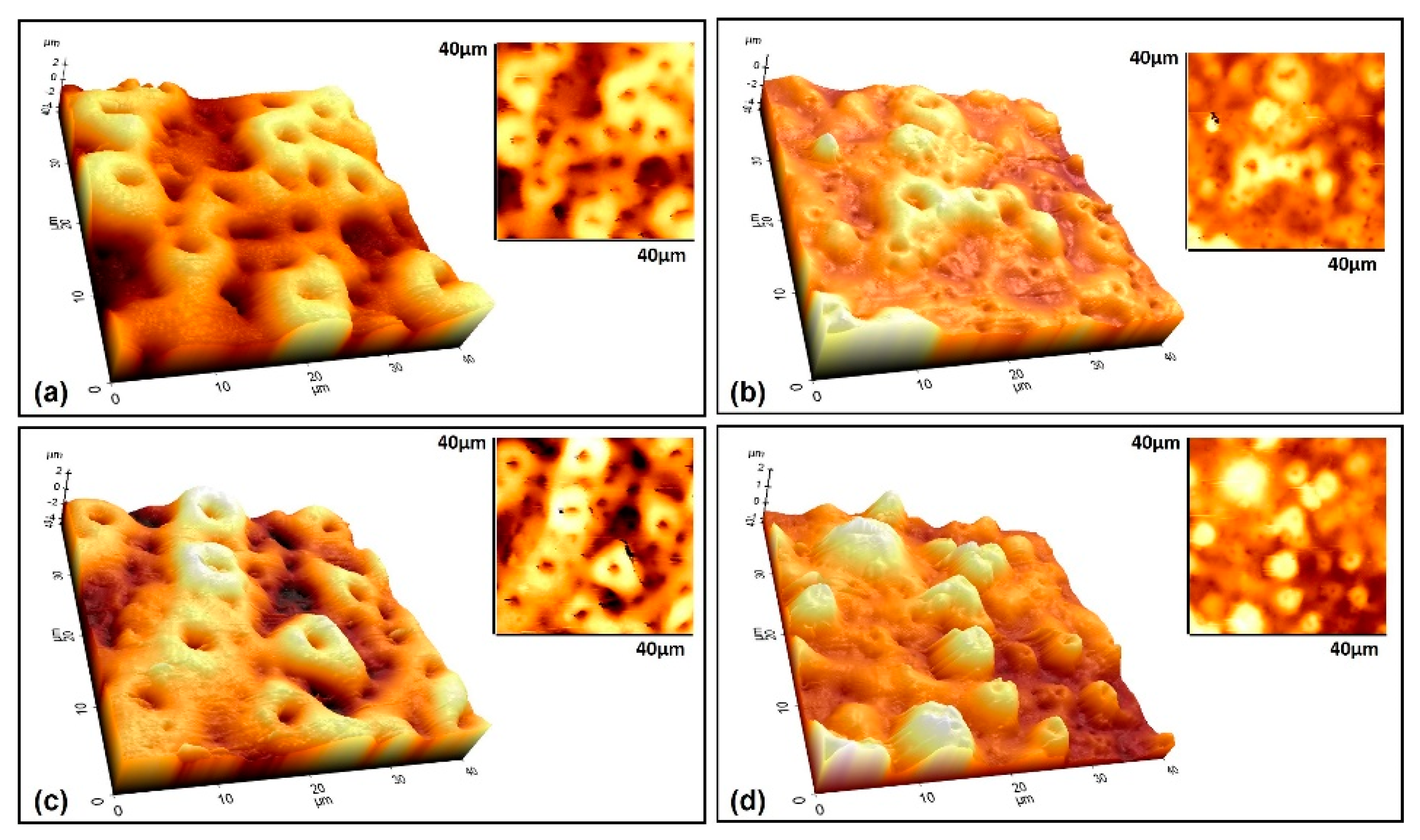 Molecules 26 03903 g007