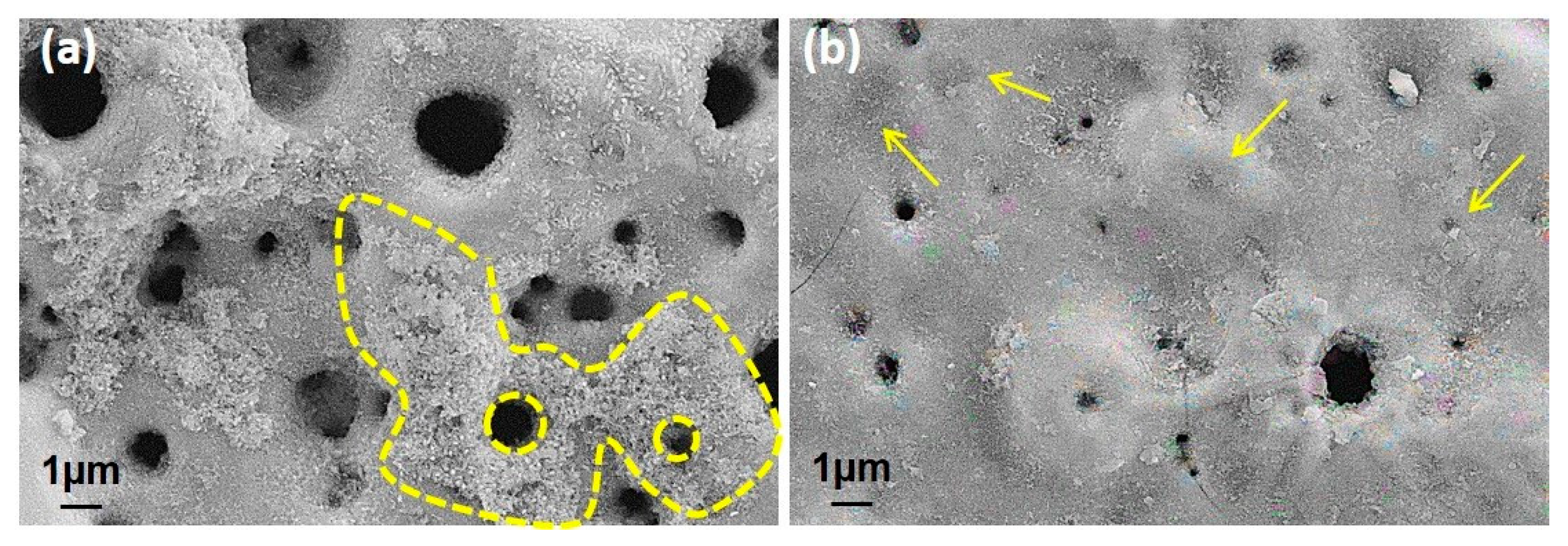 Molecules 26 03903 g010