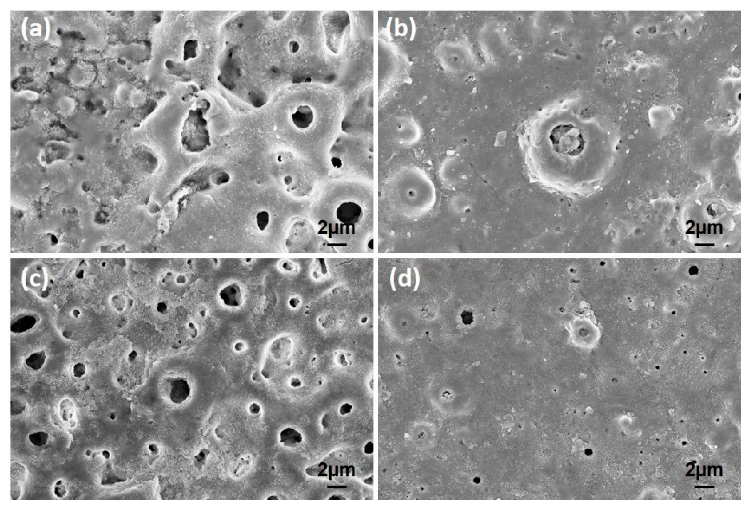 Molecules 26 03903 g011