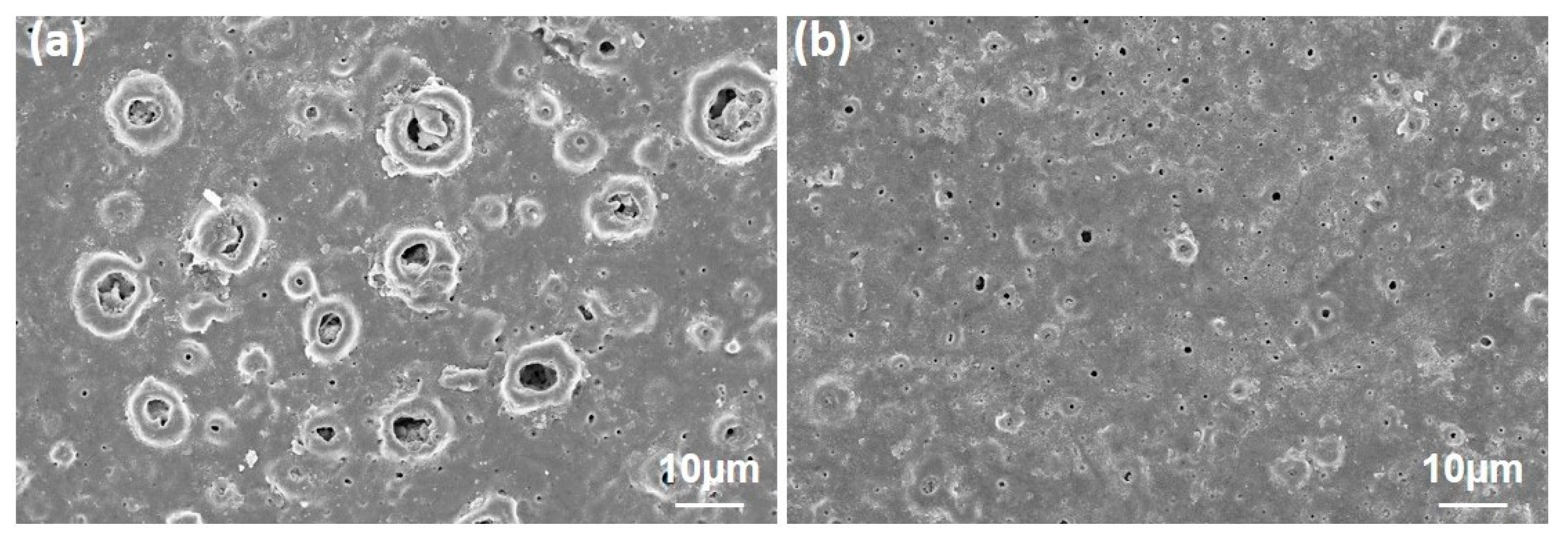 Molecules 26 03903 g012
