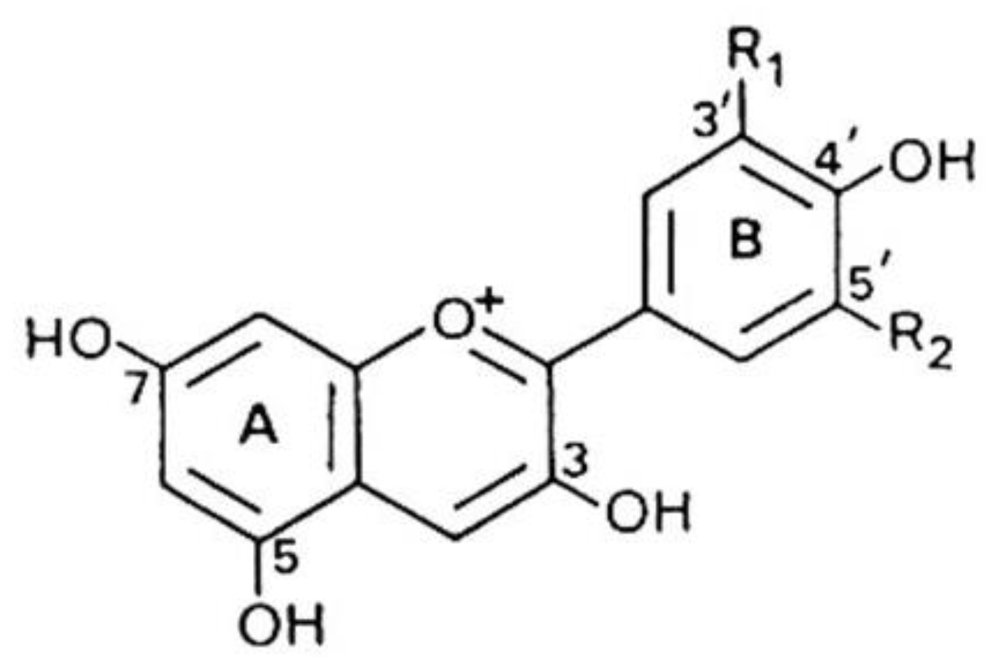 Molecules 26 03904 g001