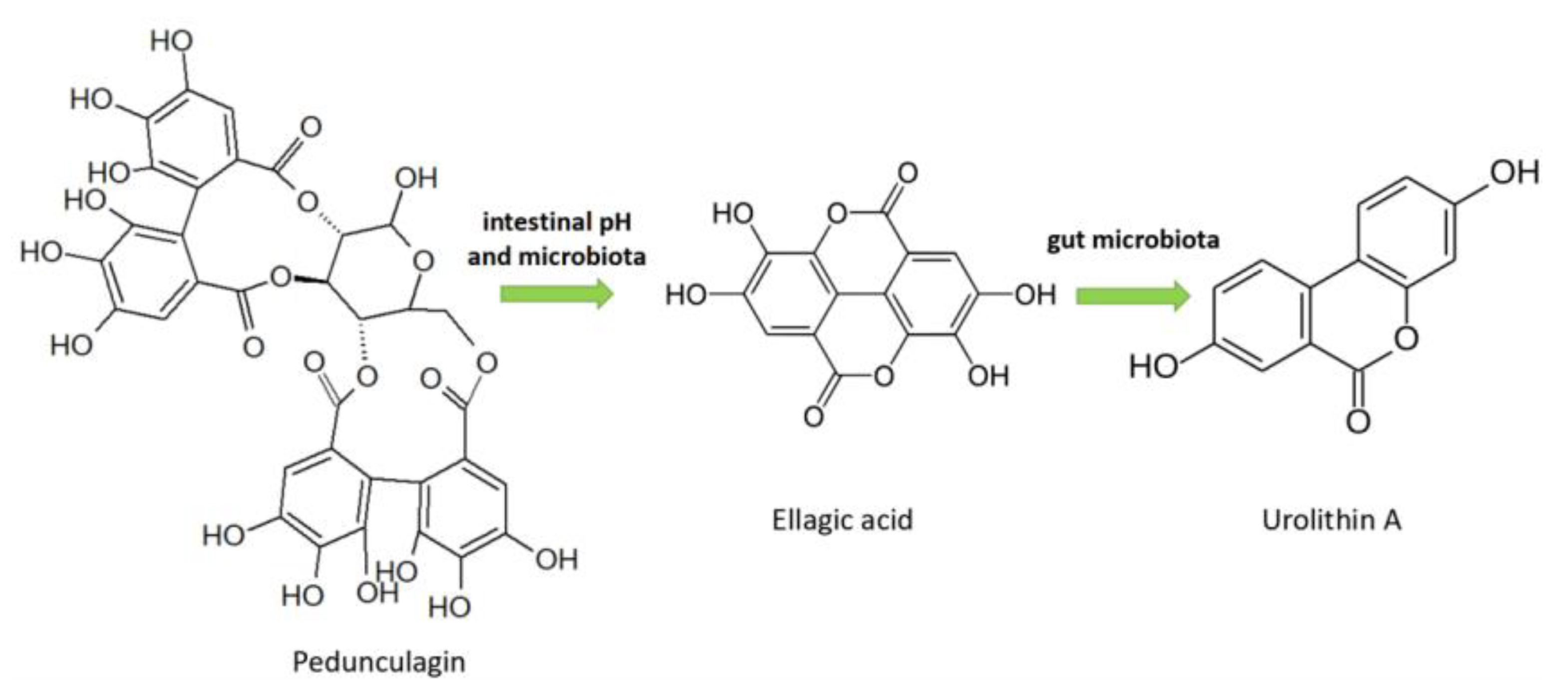 Molecules 26 03904 g004