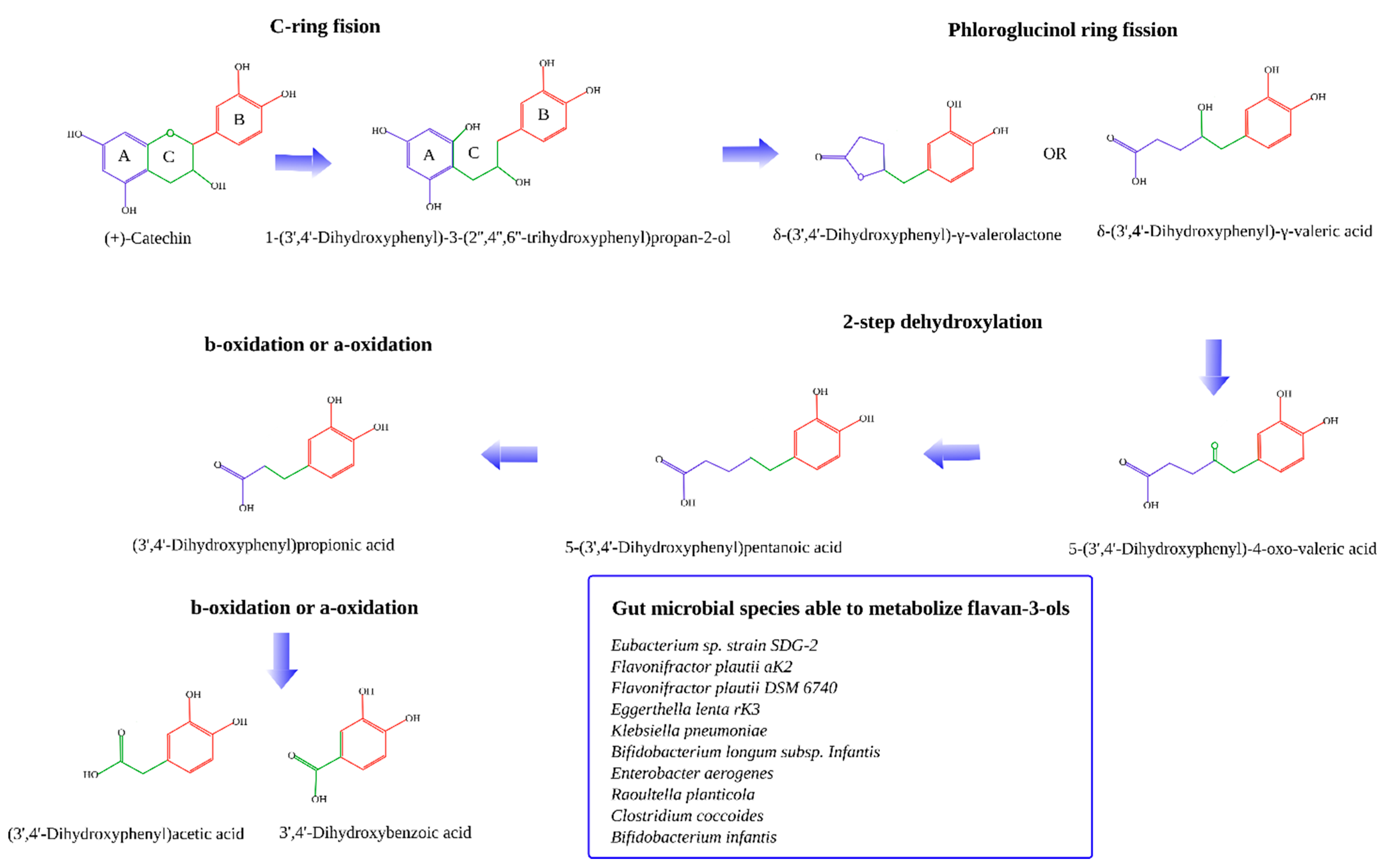 Molecules 26 03907 g001