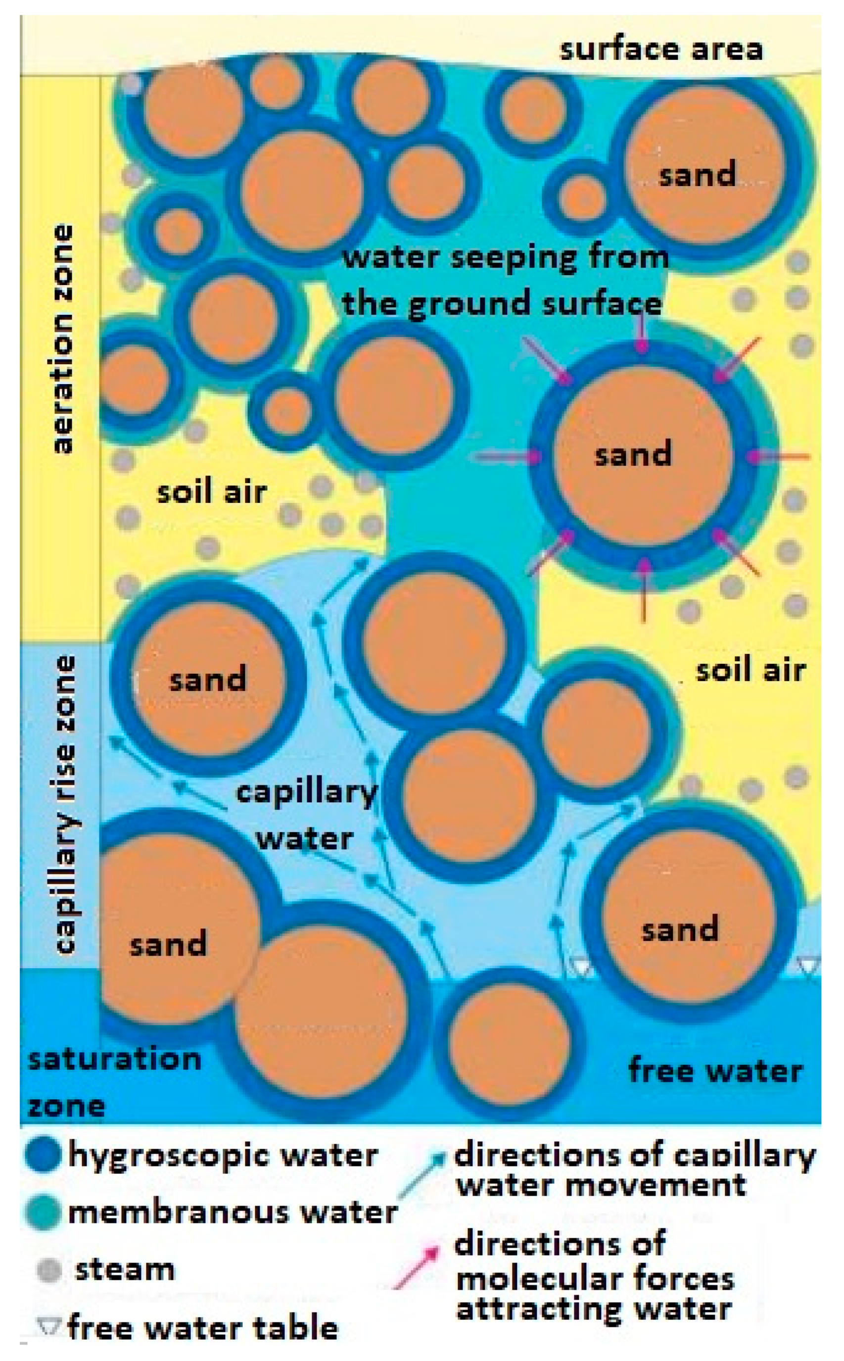 Molecules 26 03908 g001