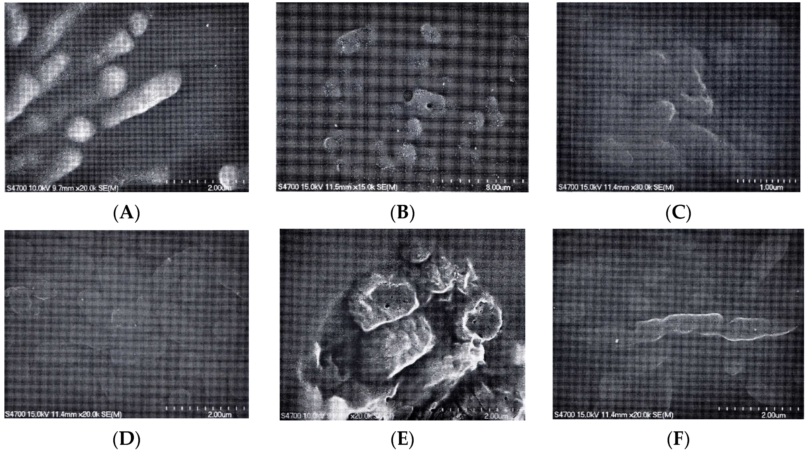 Molecules 26 03909 g003a
