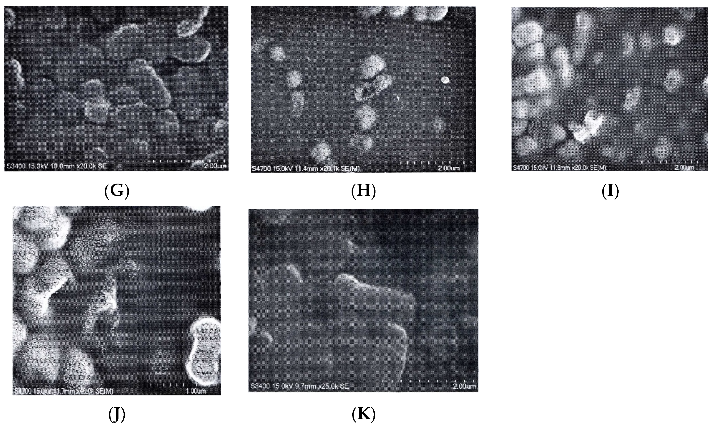 Molecules 26 03909 g003b