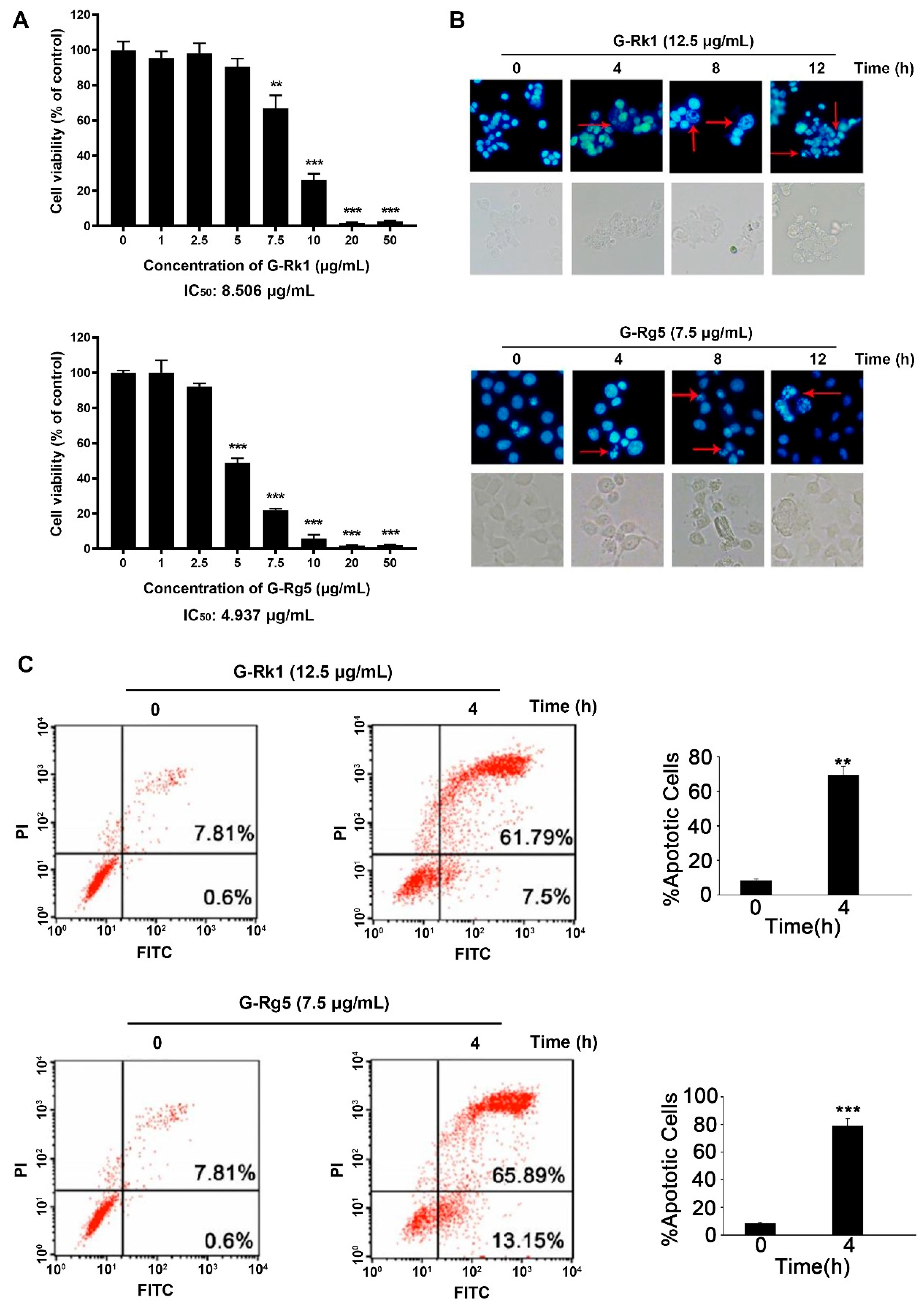 Molecules 26 03926 g002
