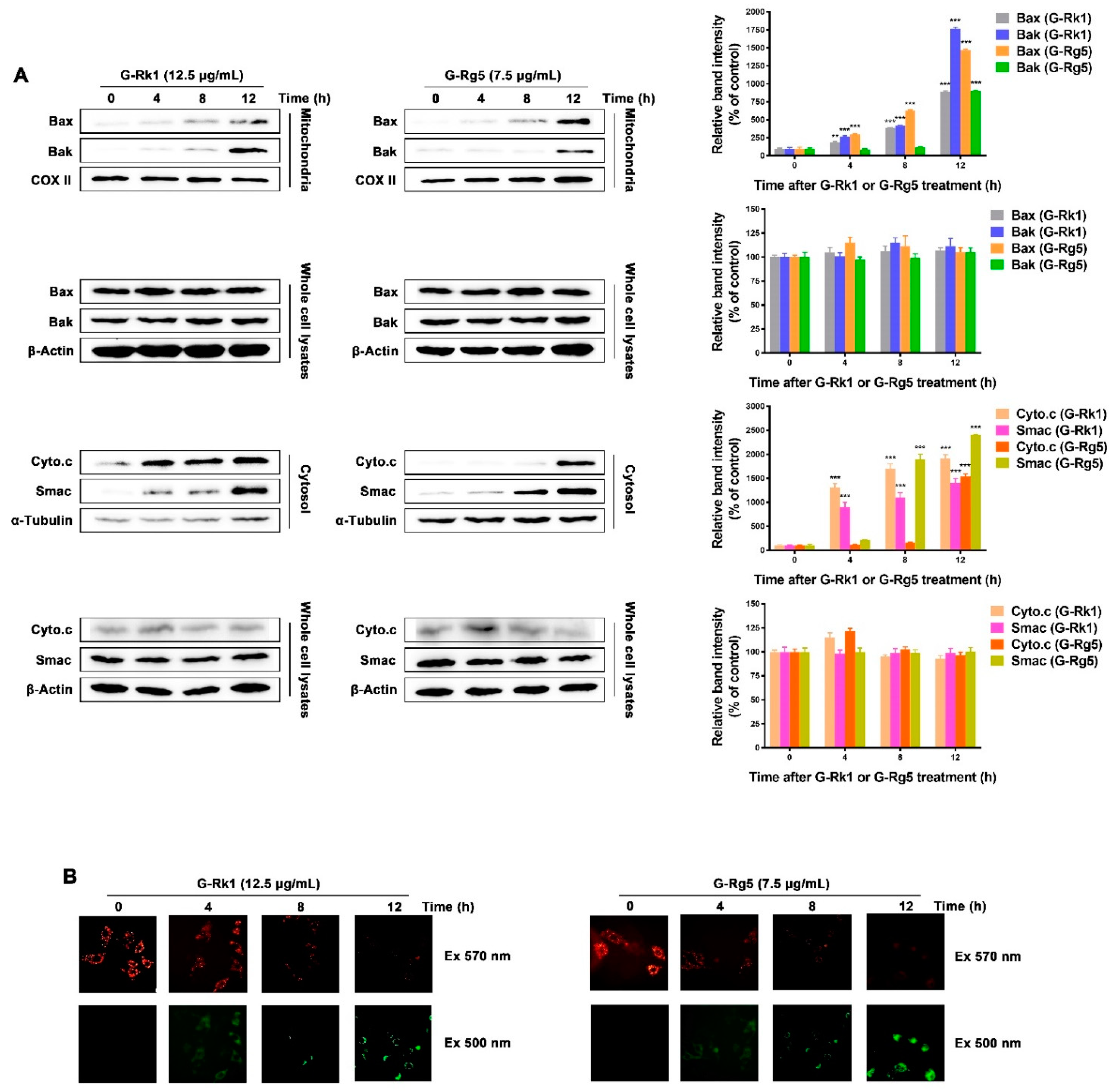 Molecules 26 03926 g003