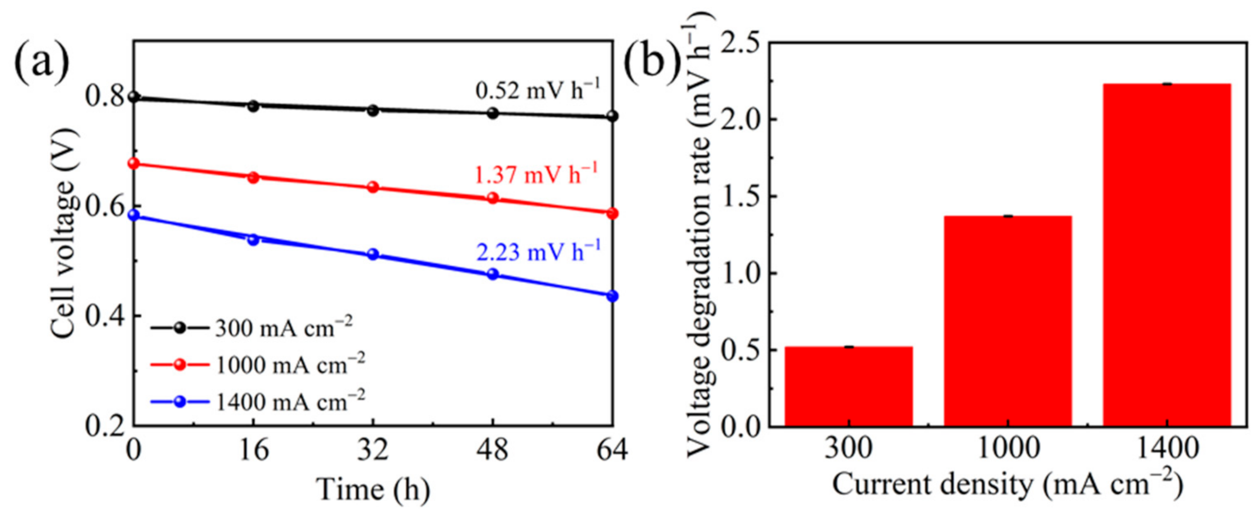 Molecules 26 03932 g003 Molecules 26 03932 g003