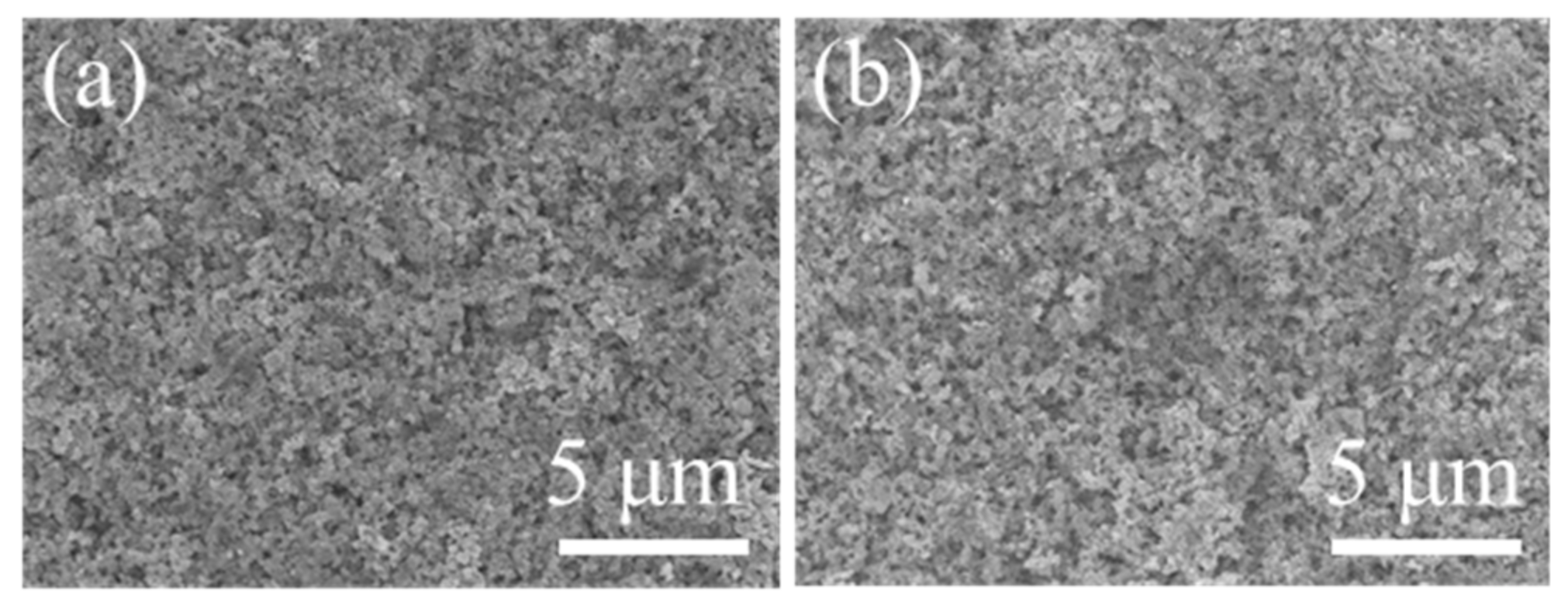 Molecules 26 03932 g007 Molecules 26 03932 g007