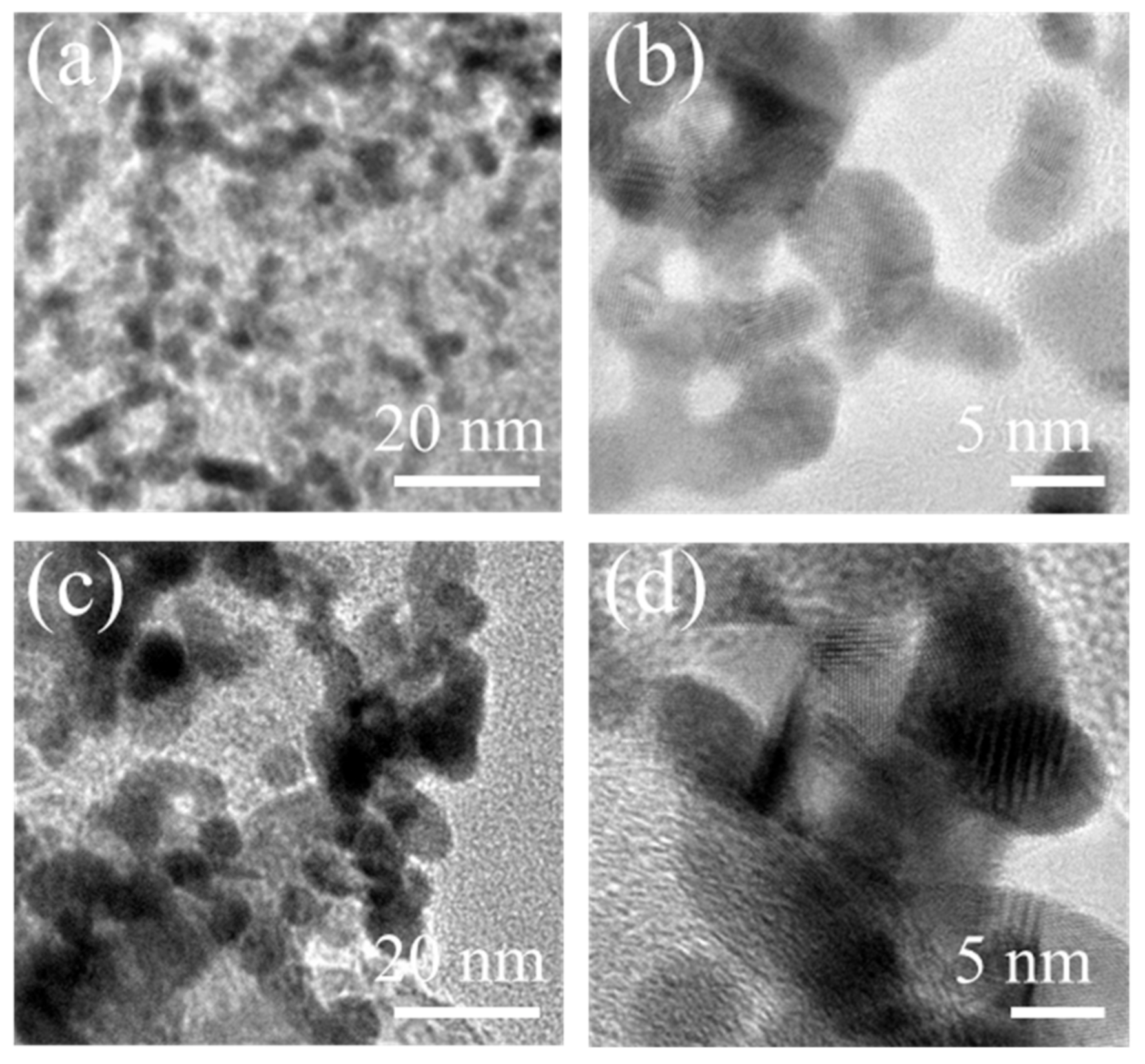 Molecules 26 03932 g008 Molecules 26 03932 g008