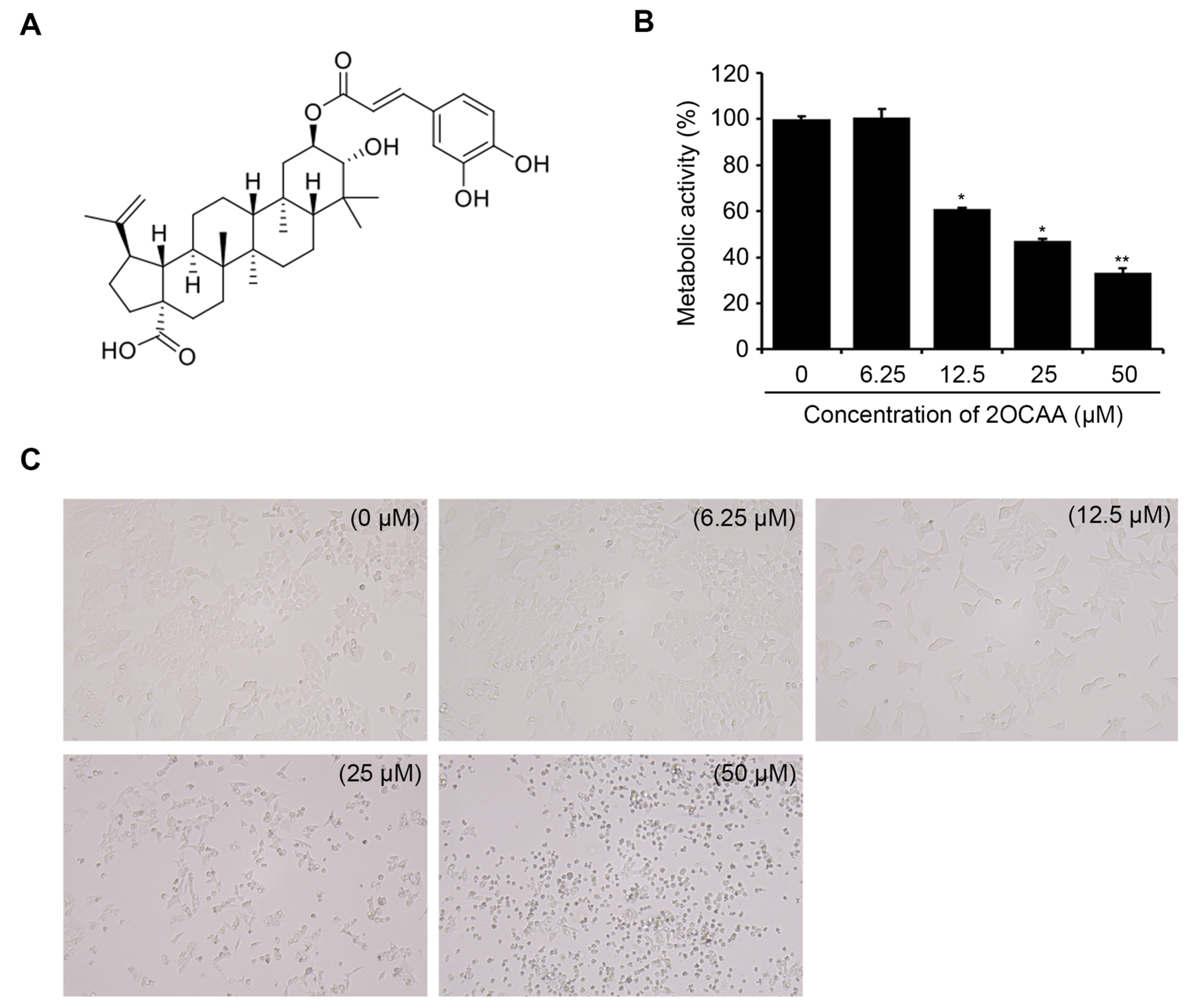 Molecules 26 03937 g002