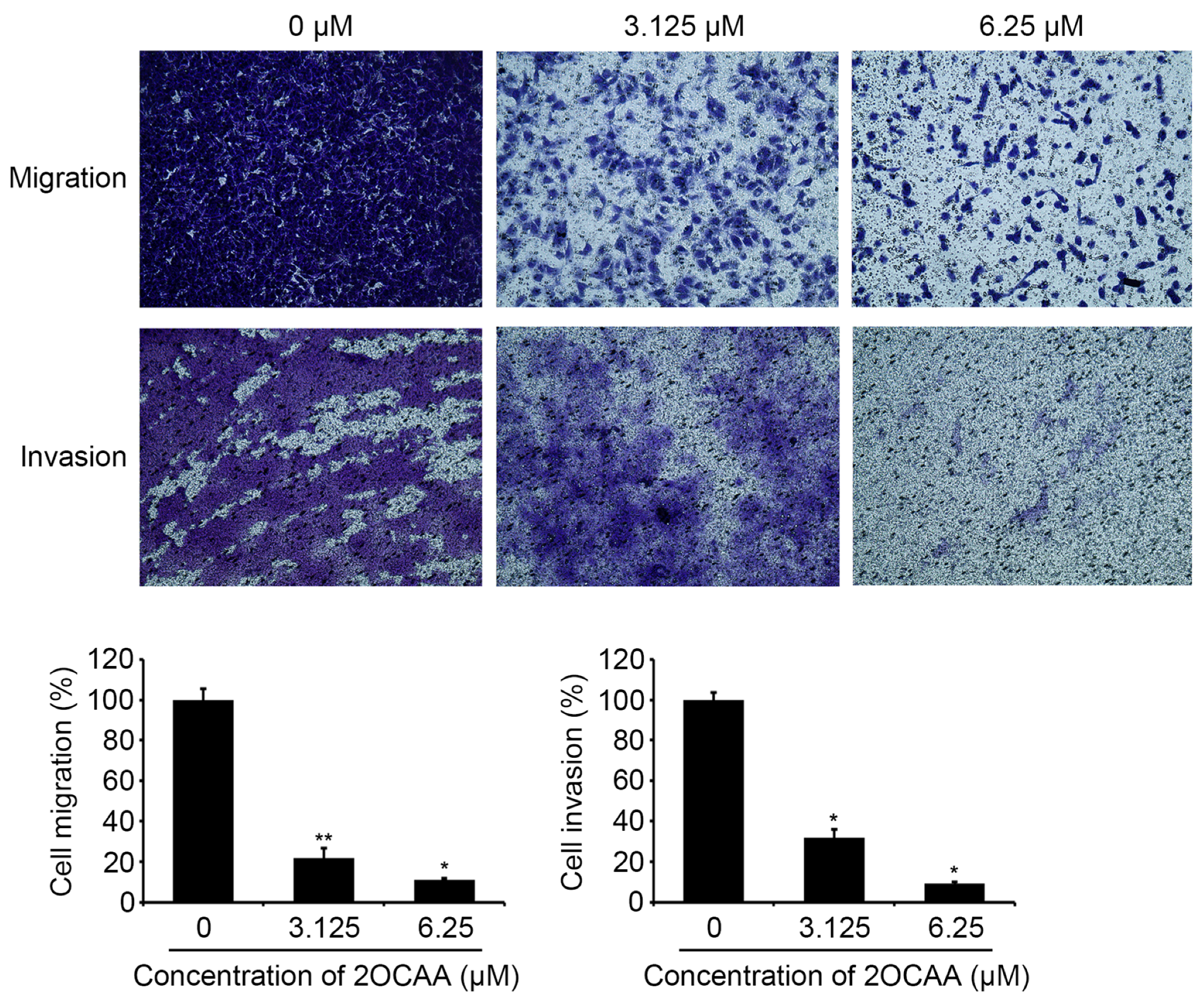 Molecules 26 03937 g006