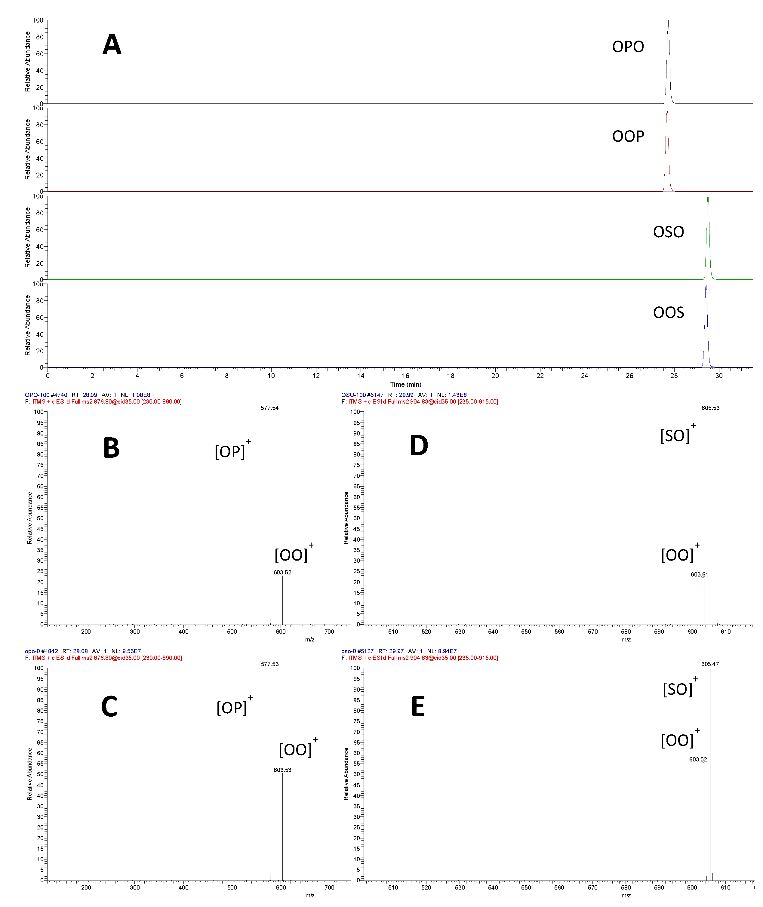 Molecules 26 03938 g001