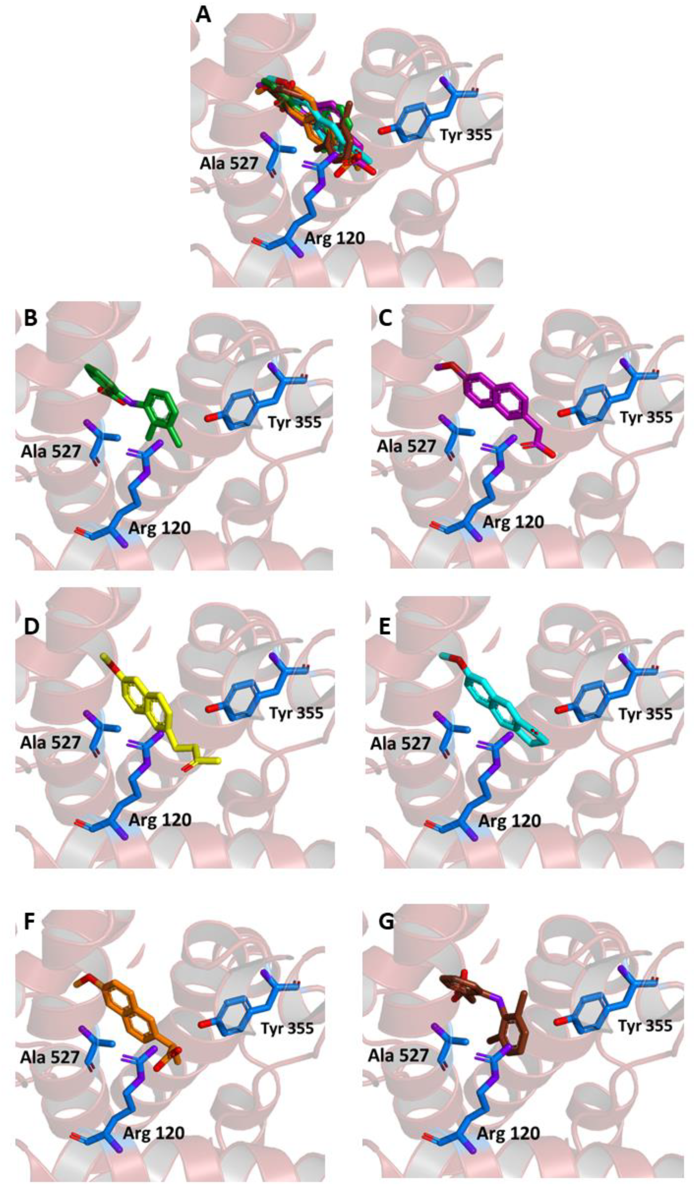 Molecules 26 03940 g004