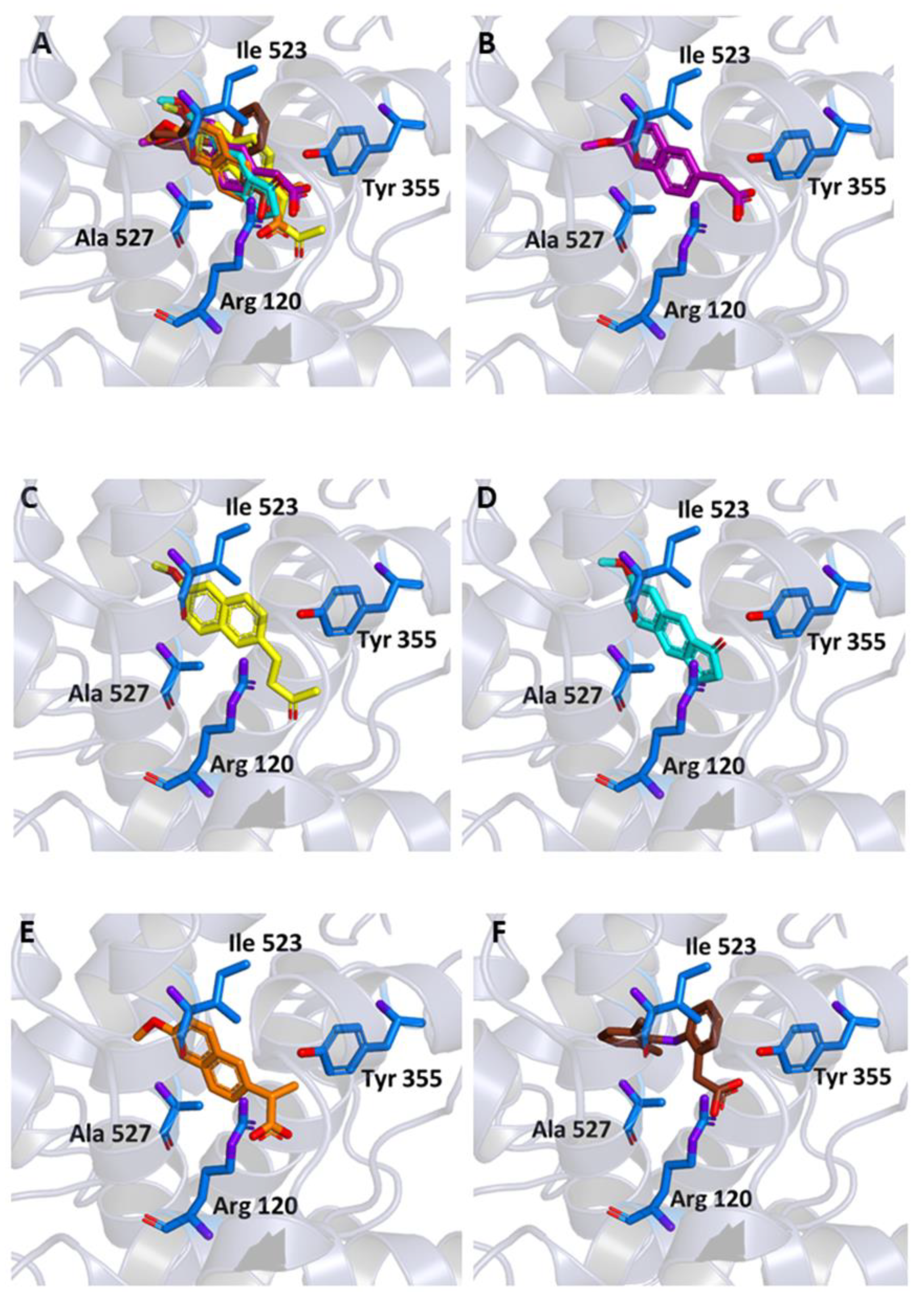 Molecules 26 03940 g005