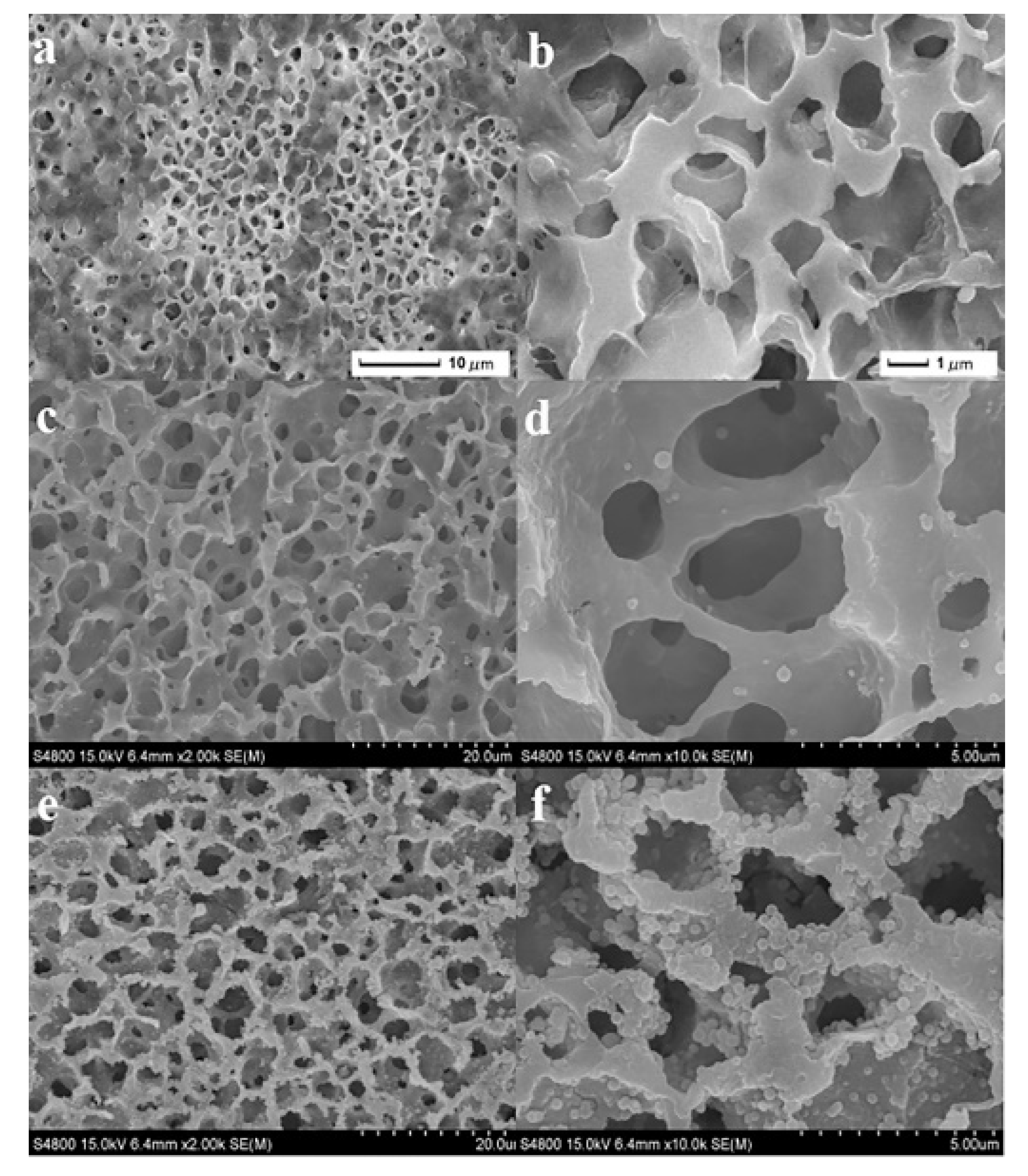 Molecules 26 03945 g001