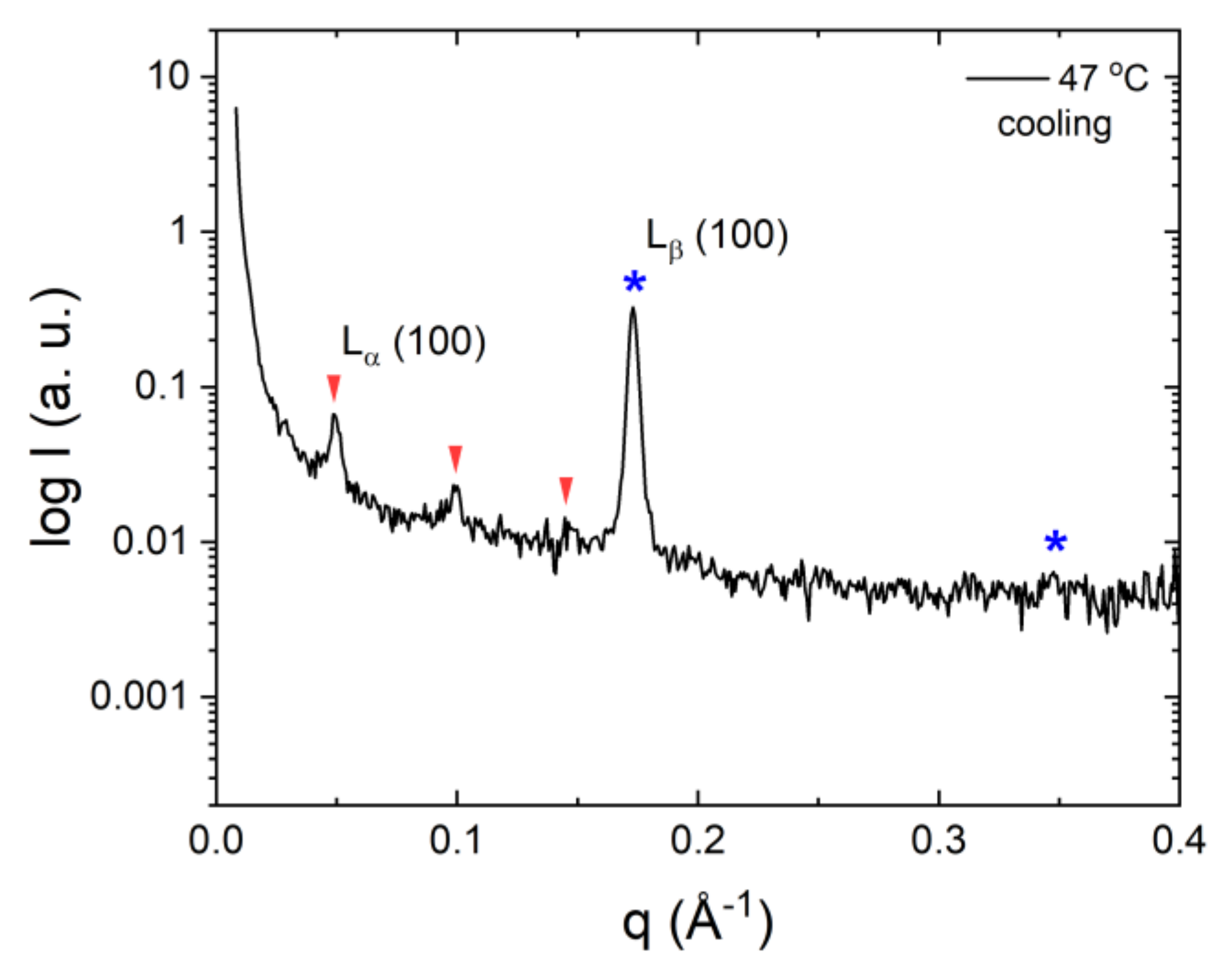 Molecules 26 03946 g006