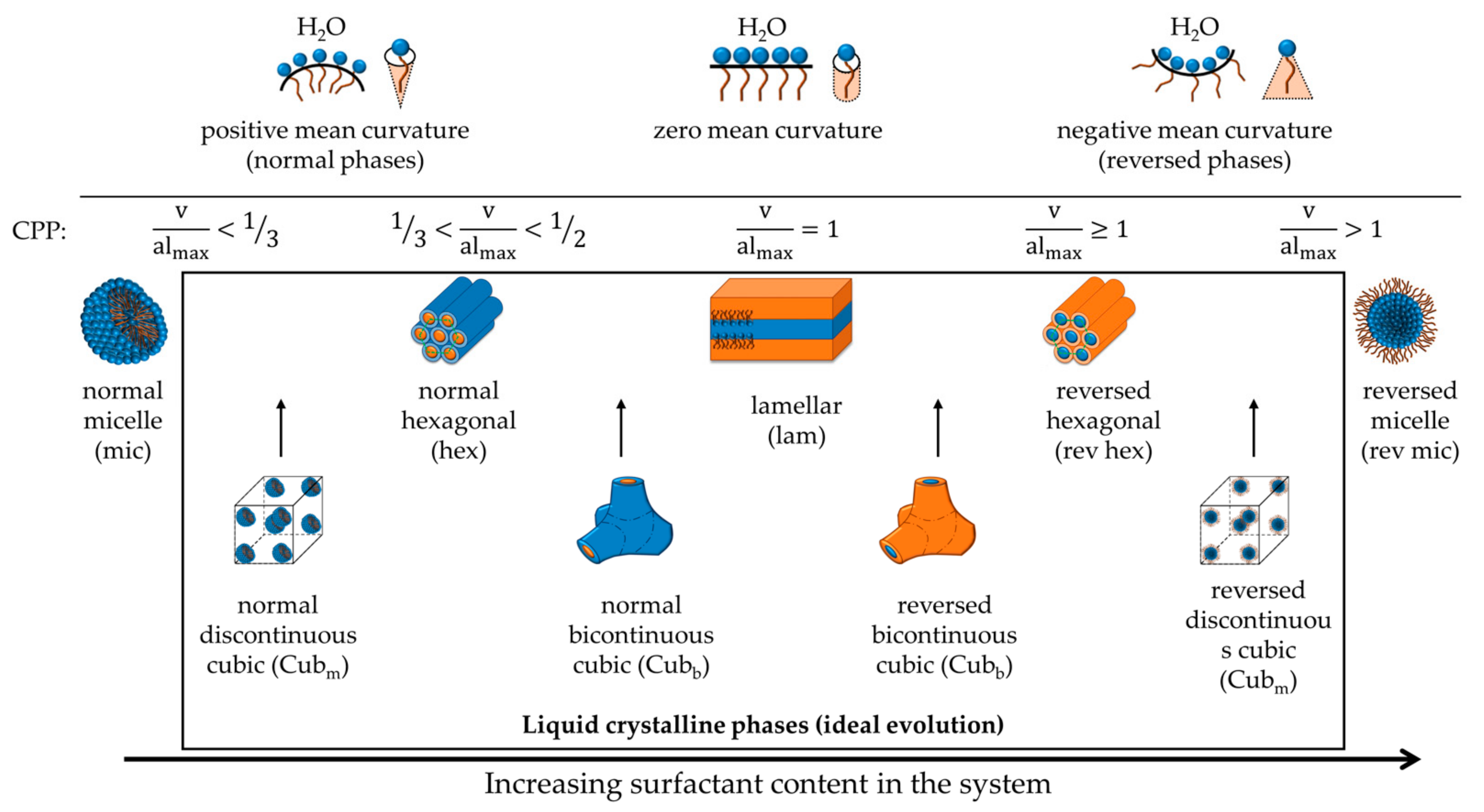 Molecules 26 03946 g012