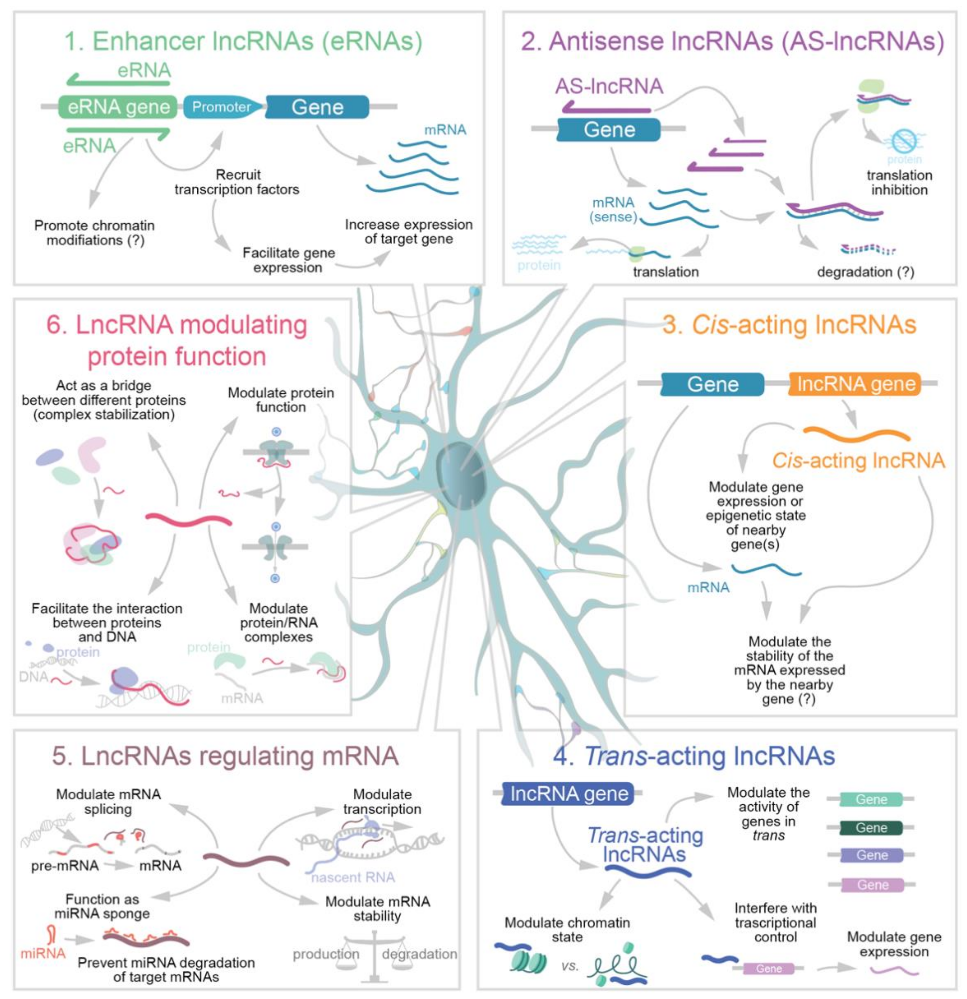 Molecules 26 03951 g001
