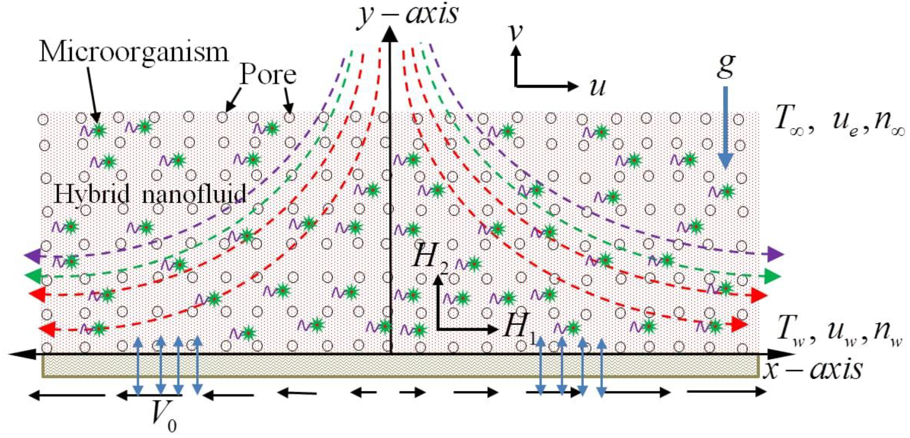 Molecules 26 03954 g001