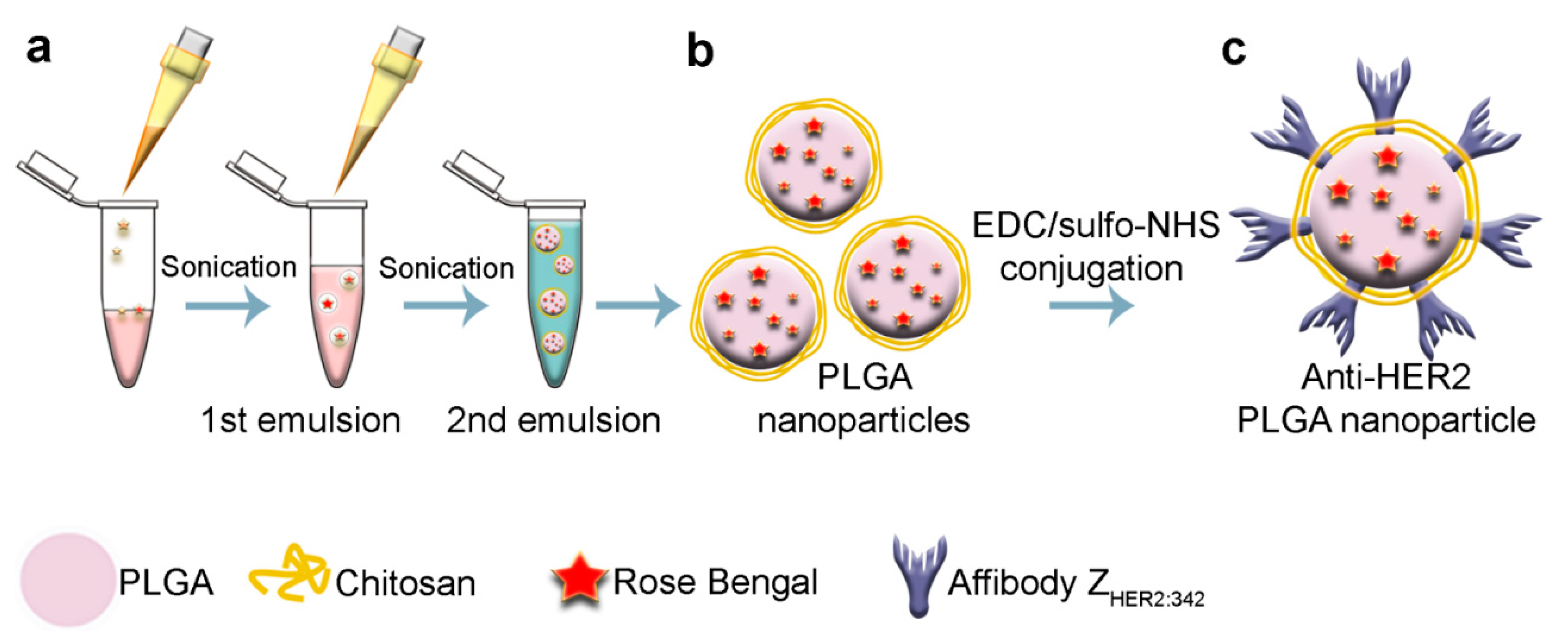 Molecules 26 03955 g001
