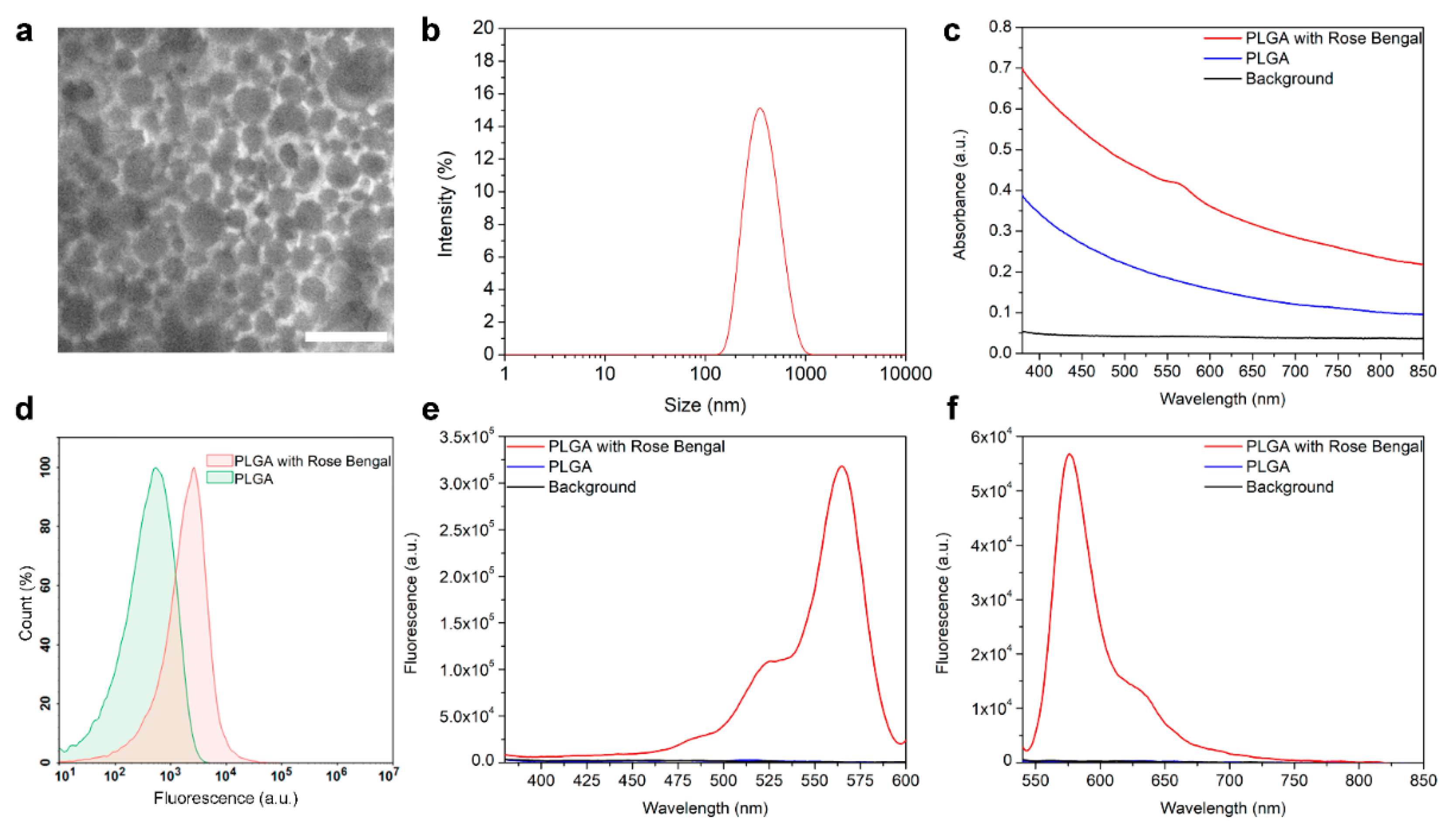 Molecules 26 03955 g002