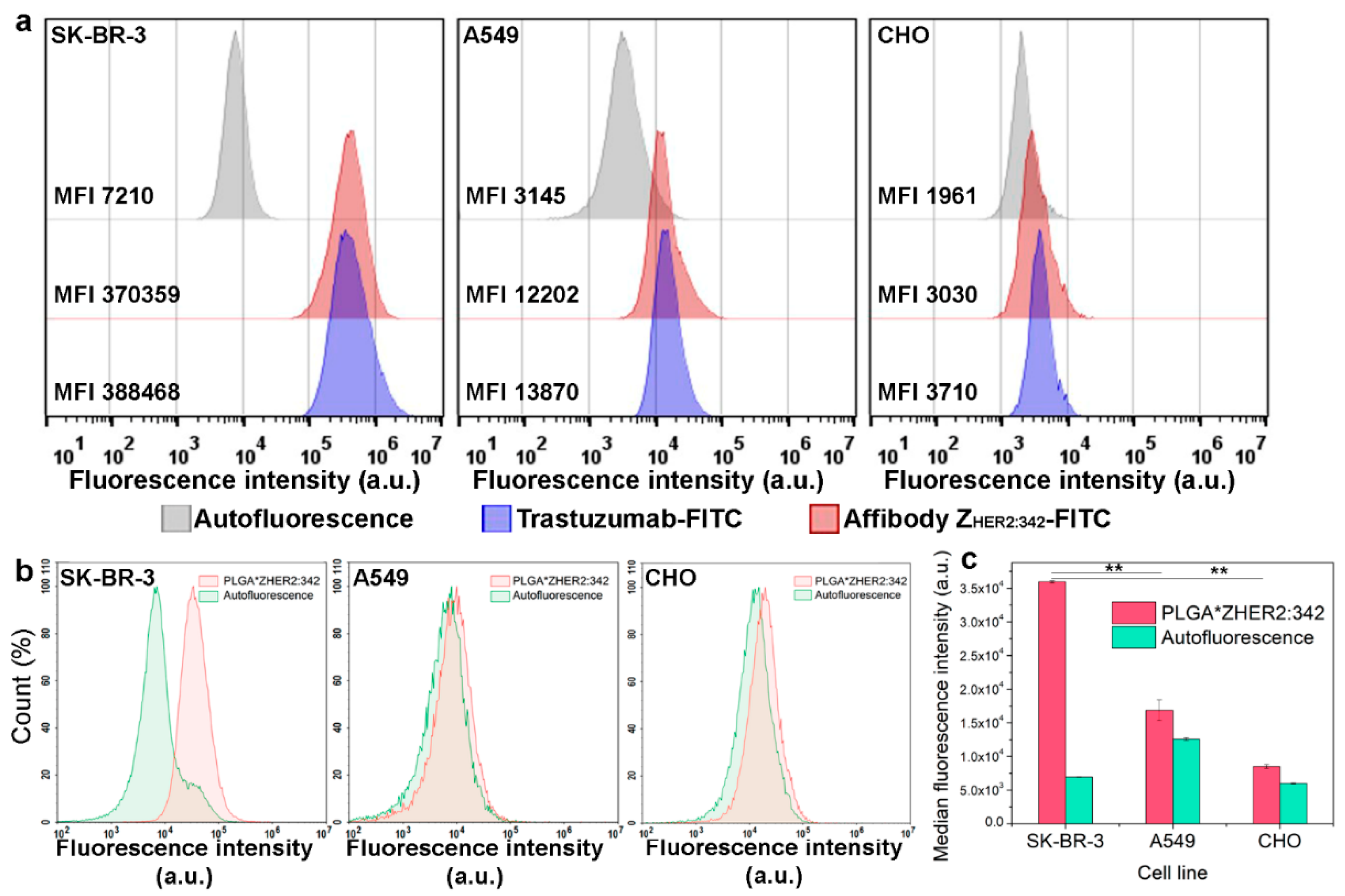 Molecules 26 03955 g004