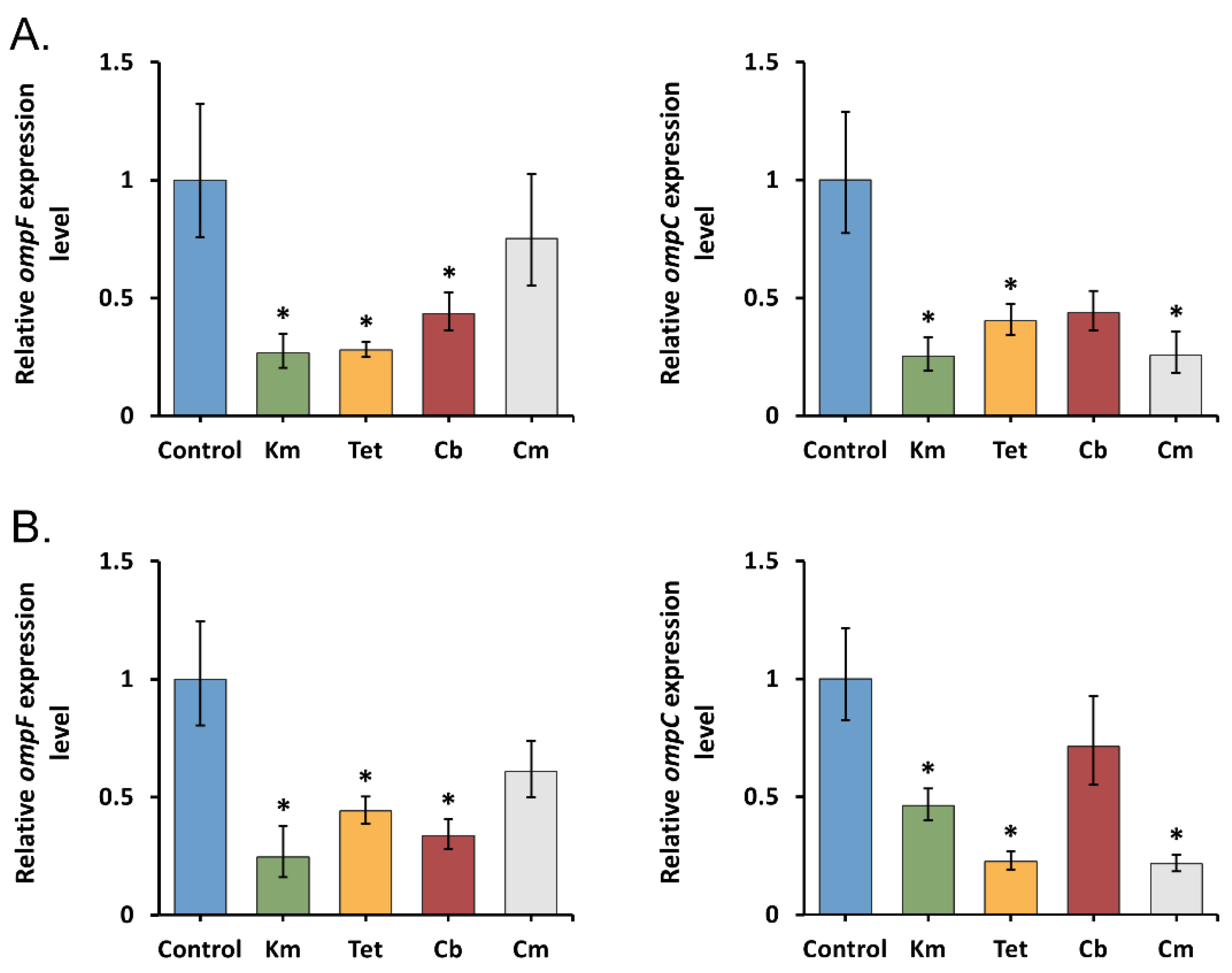 Molecules 26 03956 g001