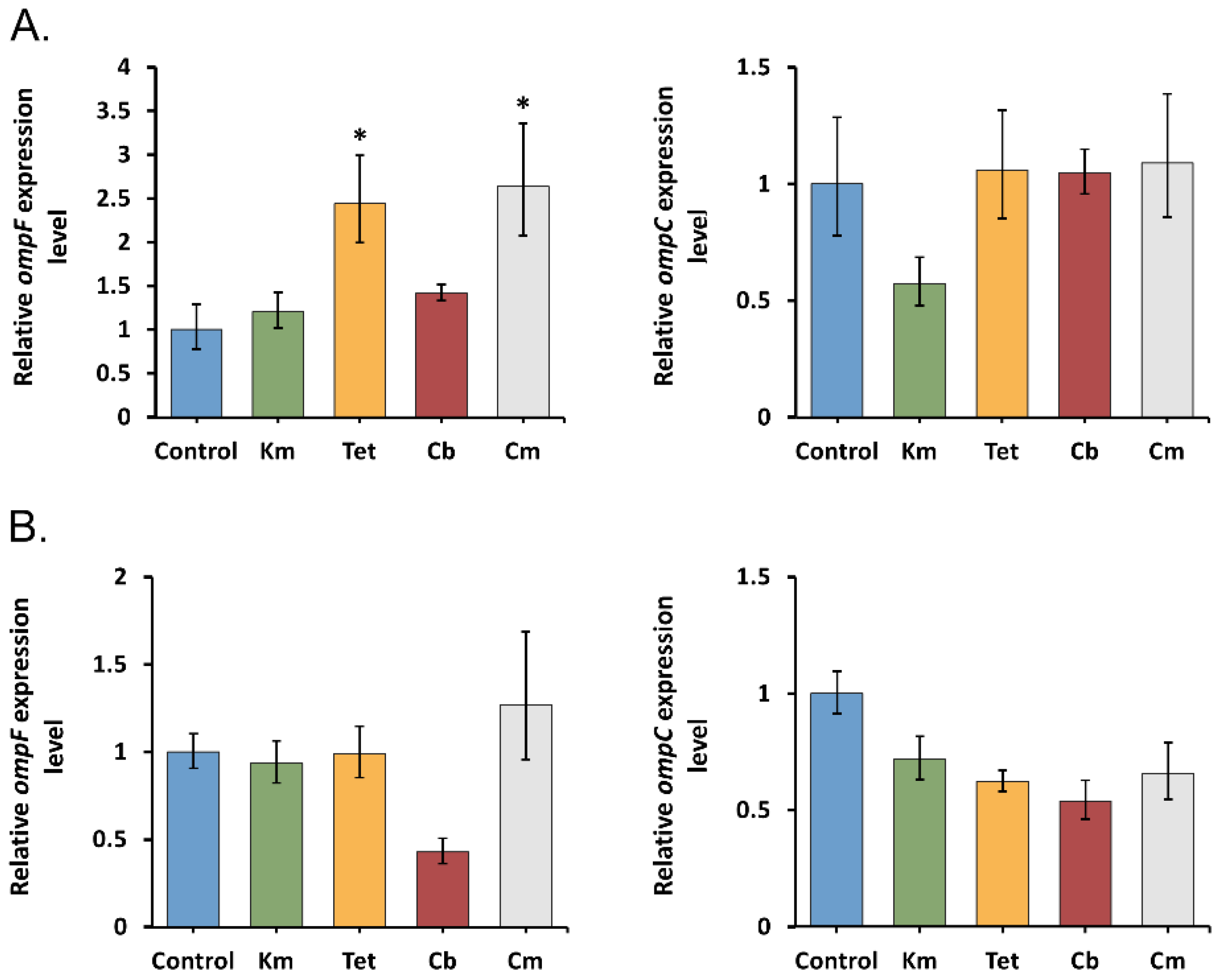 Molecules 26 03956 g002