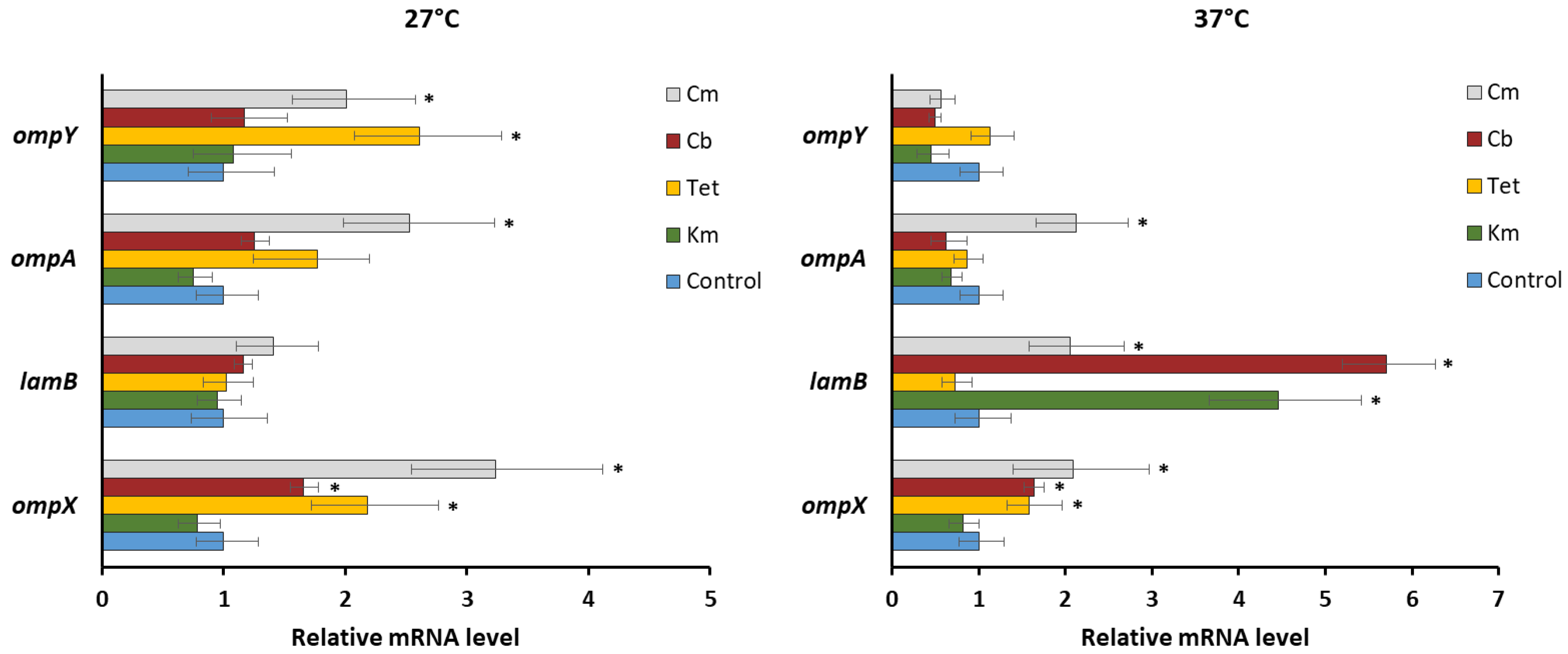 Molecules 26 03956 g004