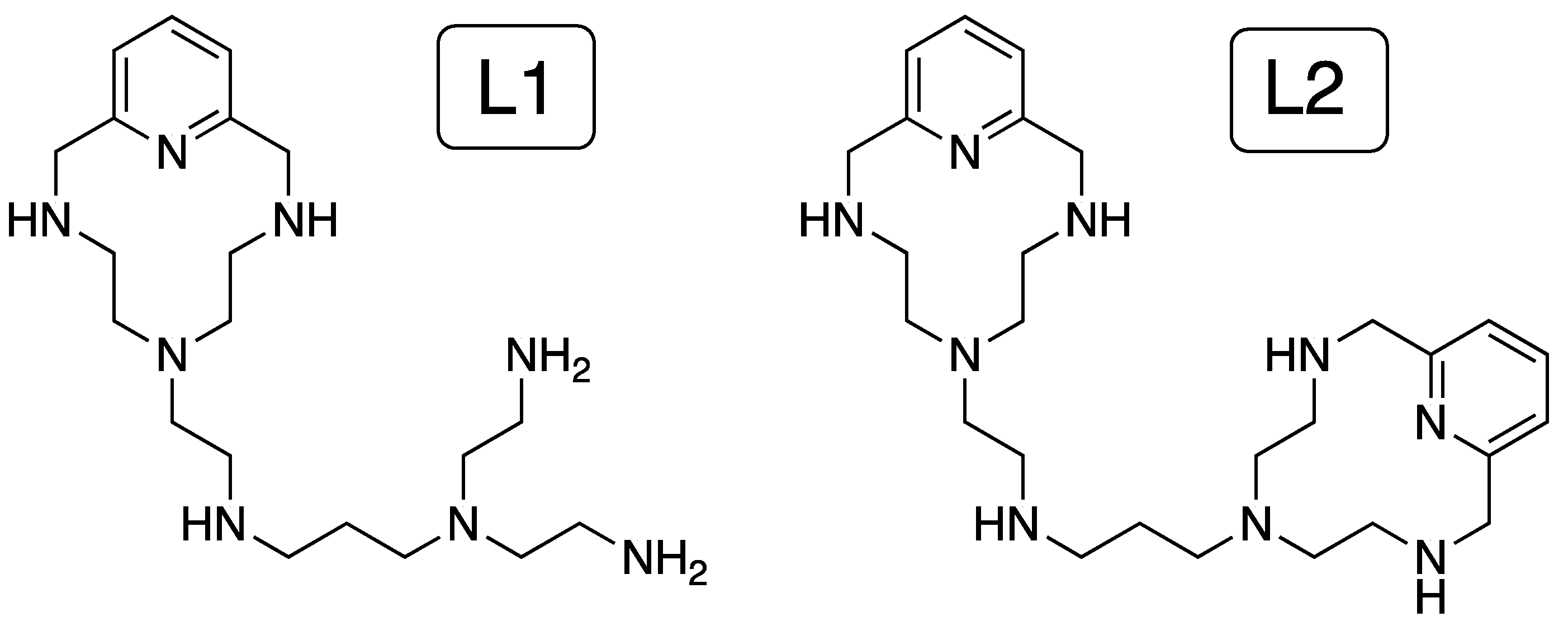 Molecules 26 03957 ch001