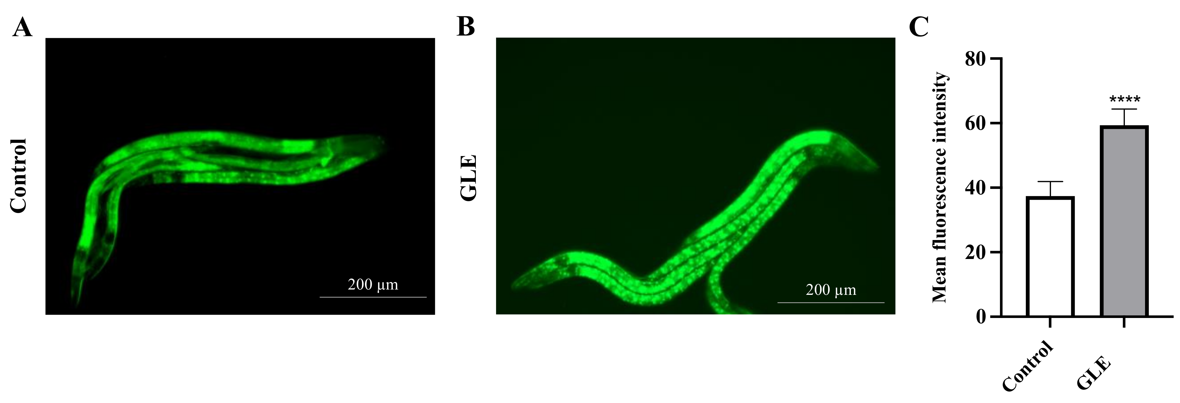Molecules 26 03958 g005
