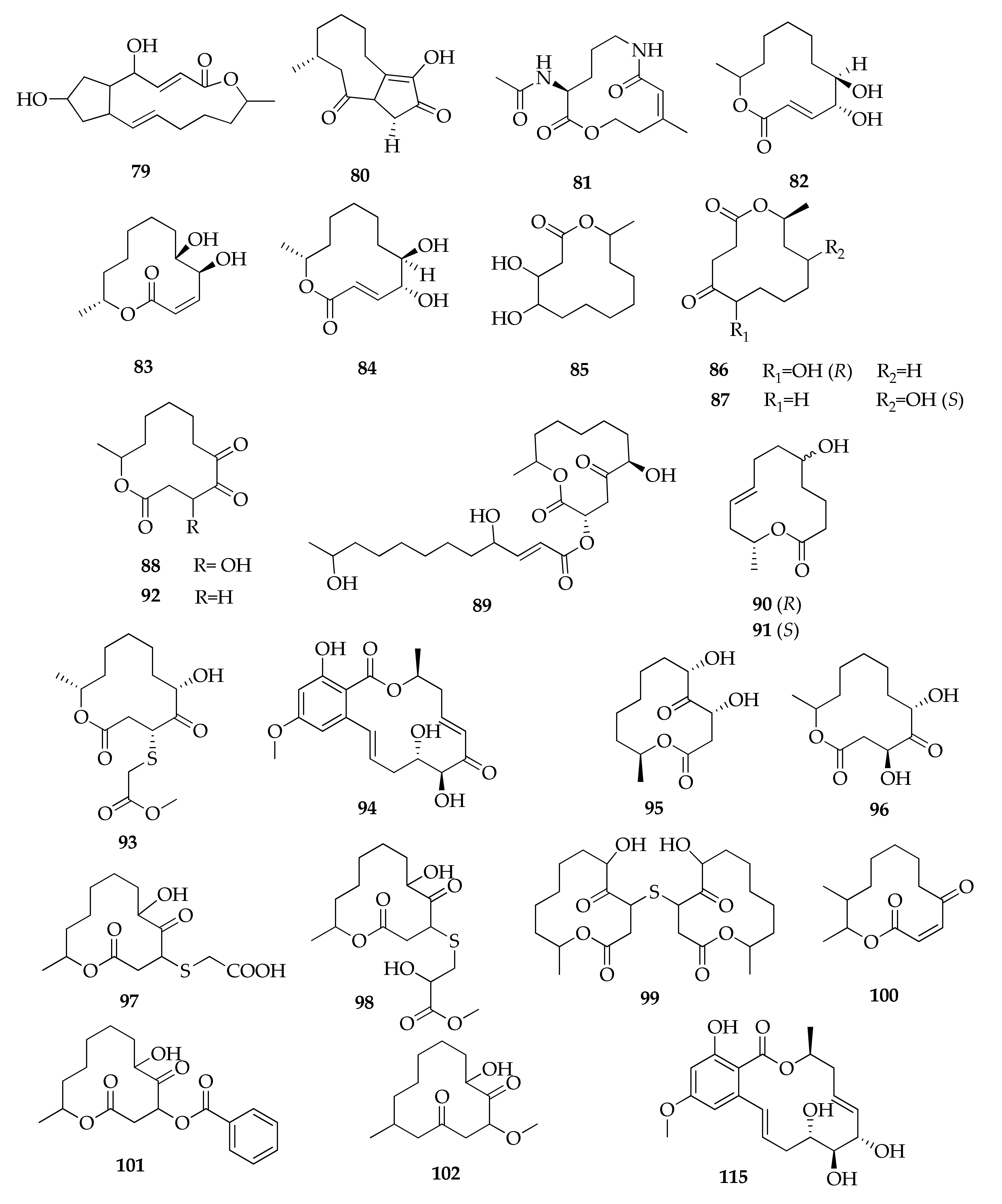 Molecules 26 03959 g018
