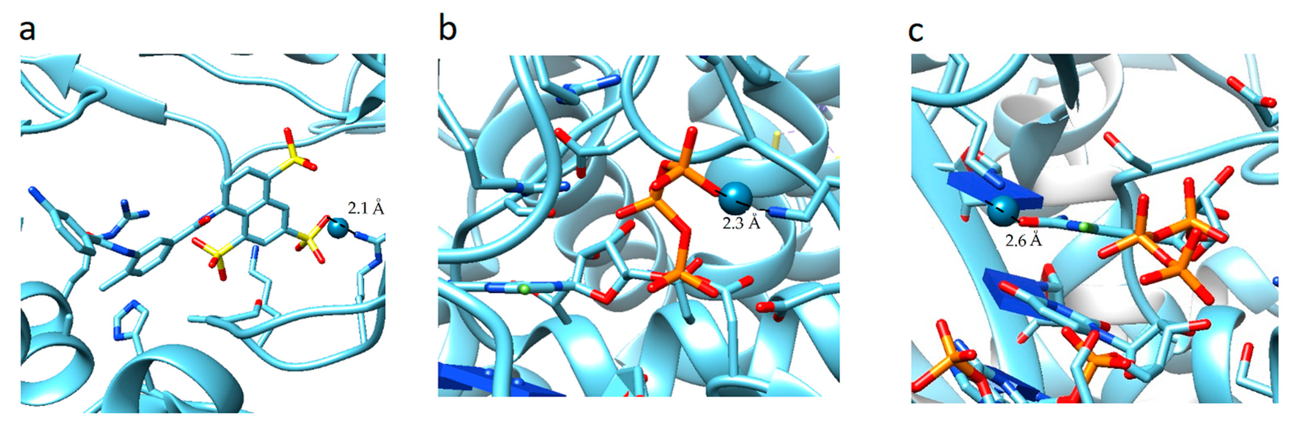 Molecules 26 03960 g004