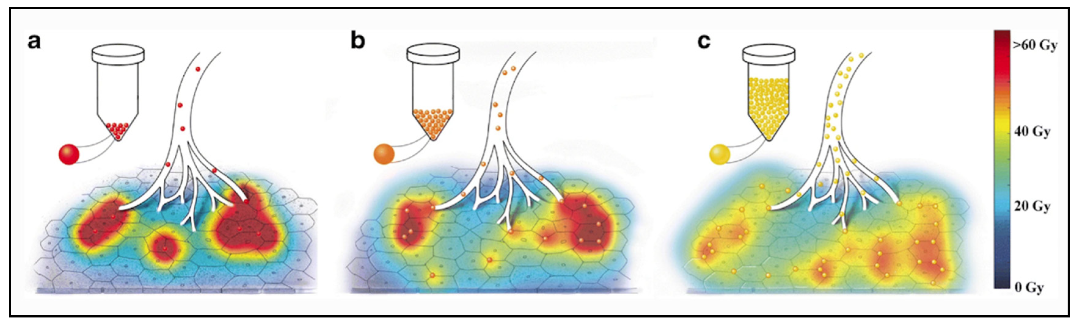 Molecules 26 03966 g003