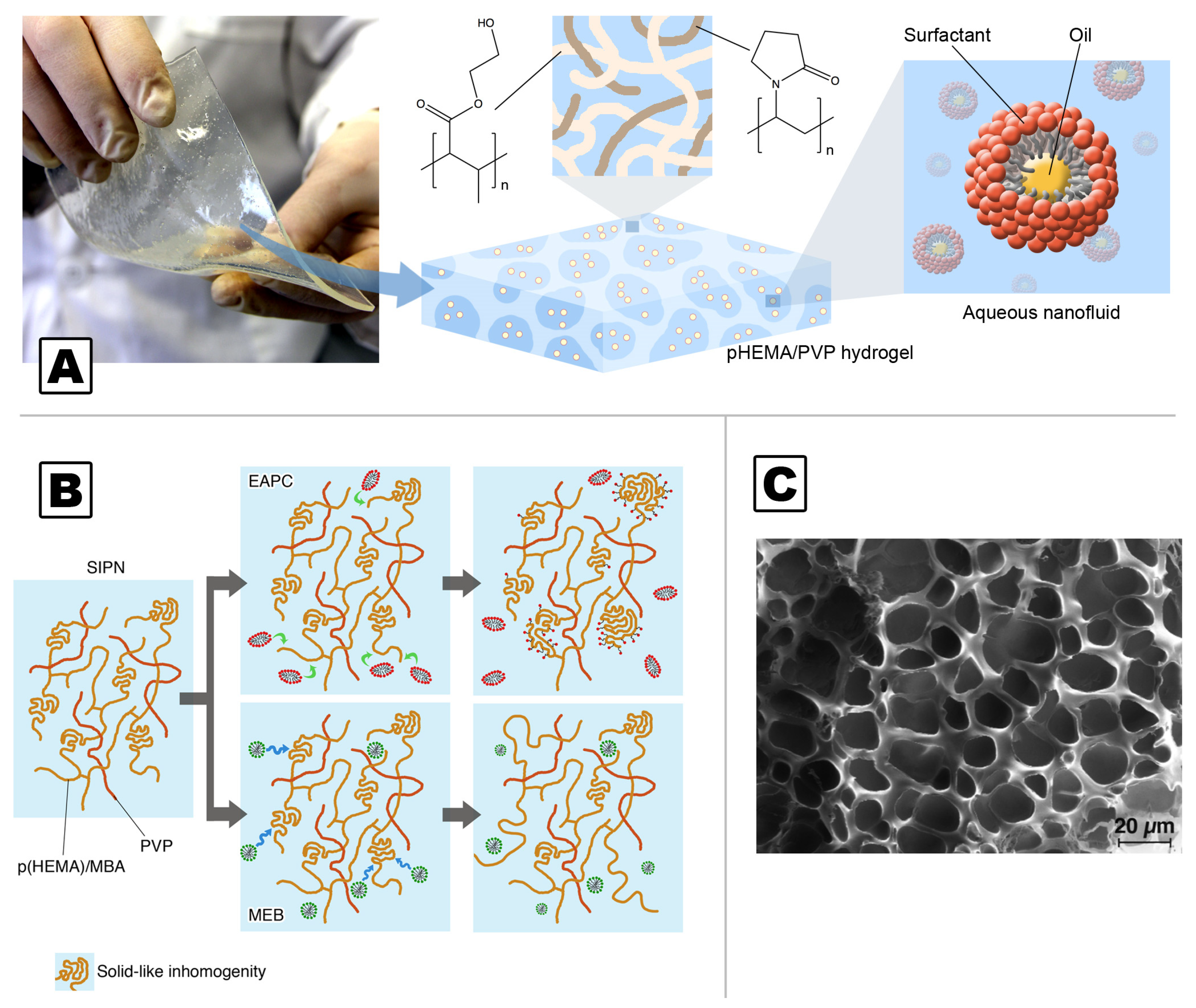 Molecules 26 03967 g003 Molecules 26 03967 g003