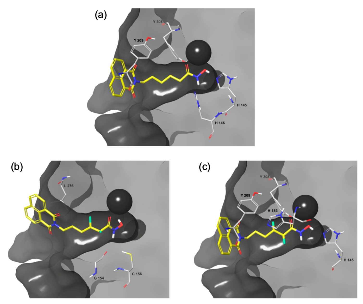 Molecules 26 03974 g005