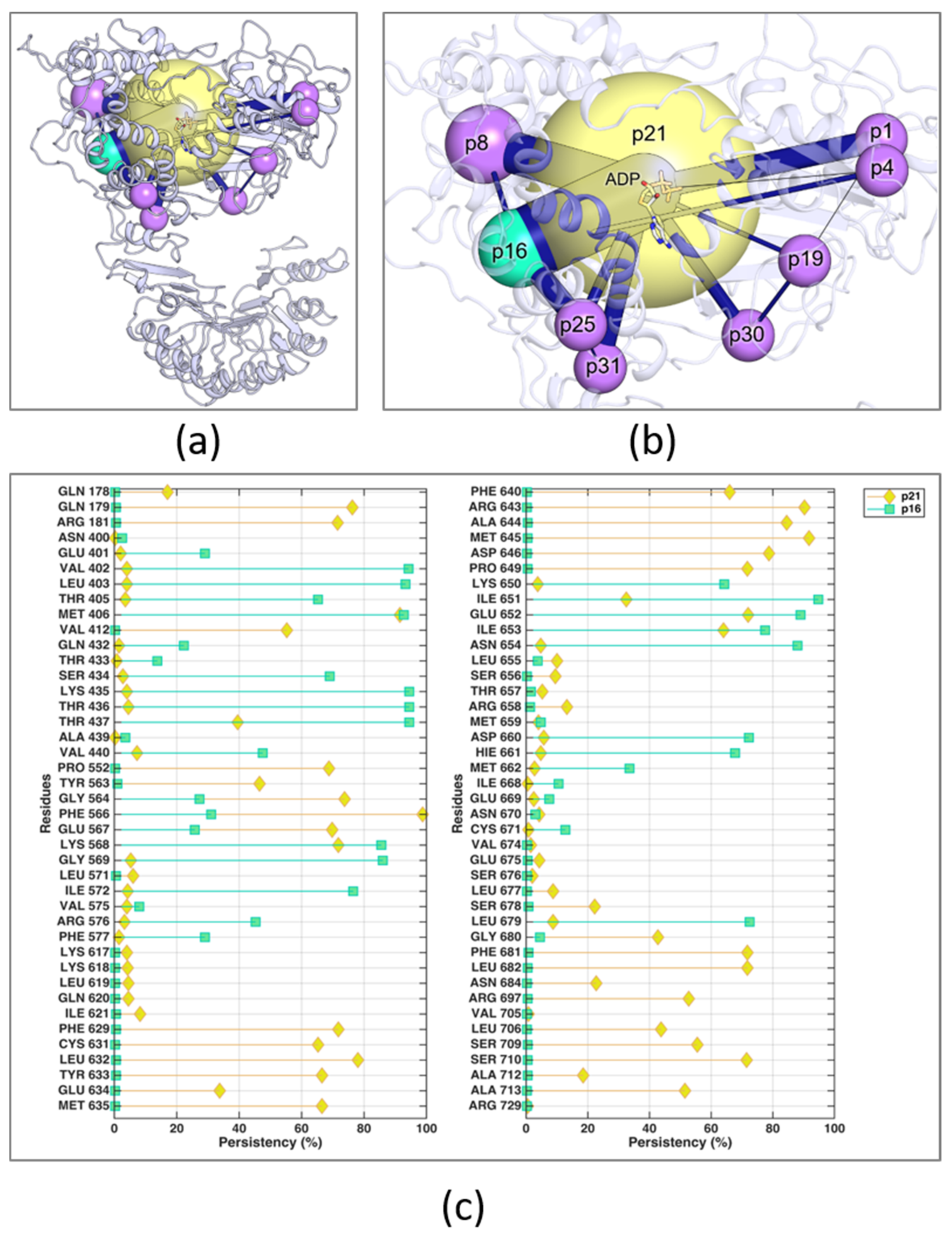 Molecules 26 03975 g007