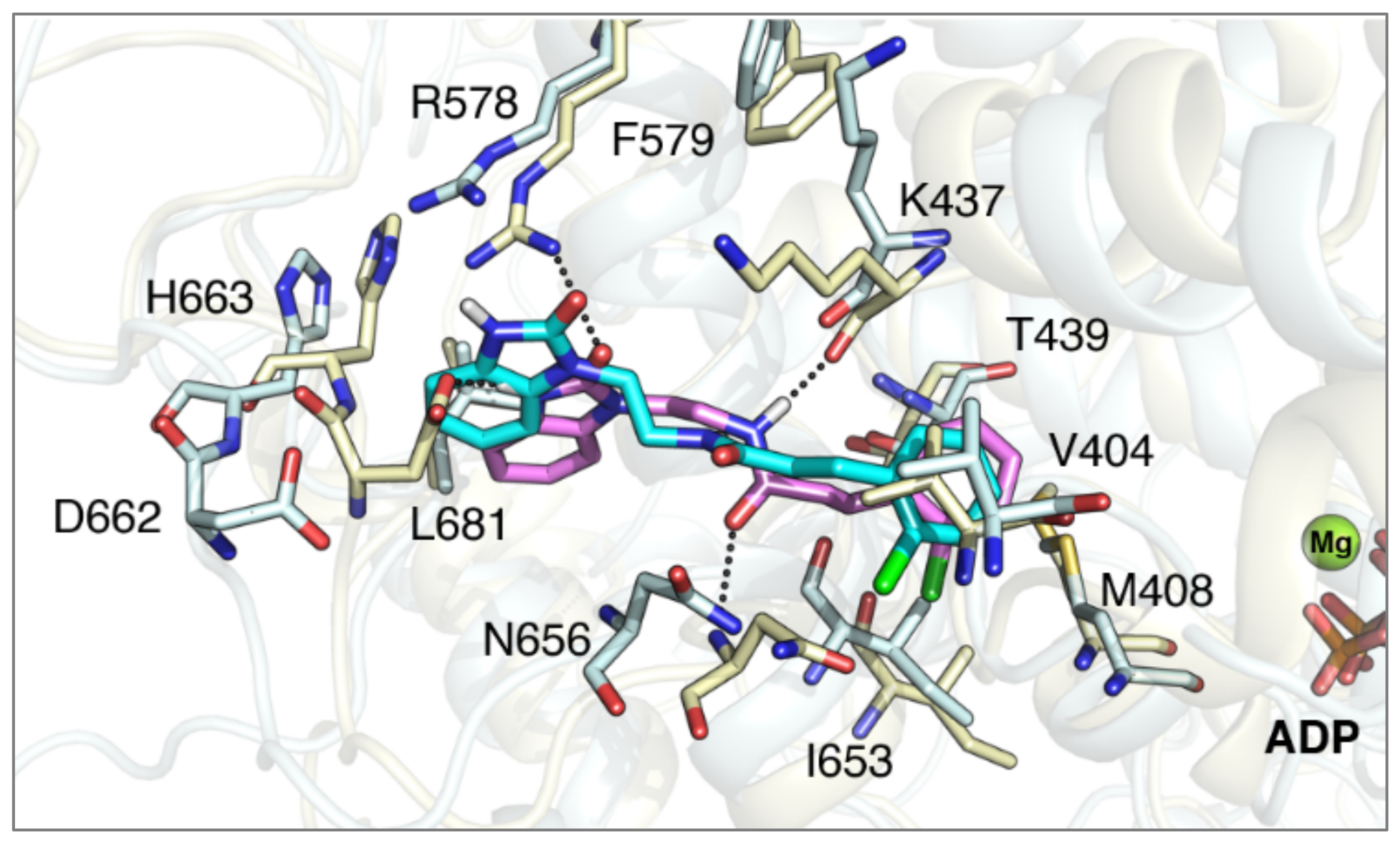 Molecules 26 03975 g008