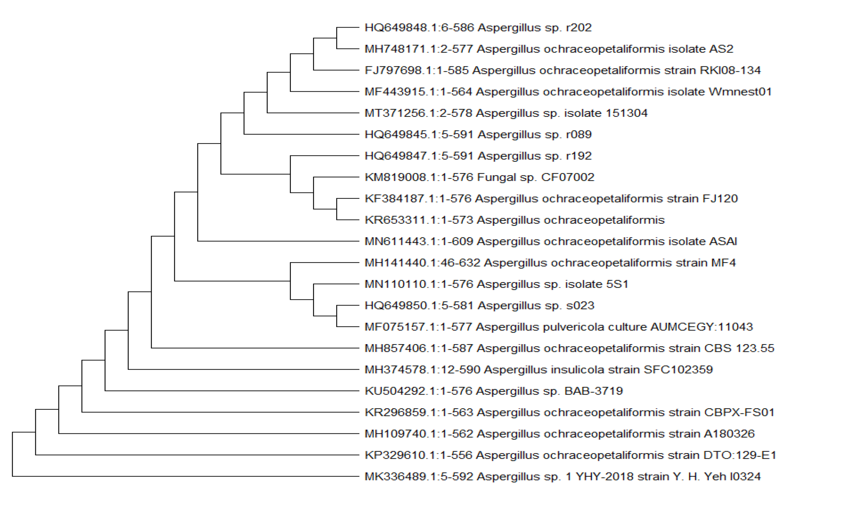 Molecules 26 03976 g002