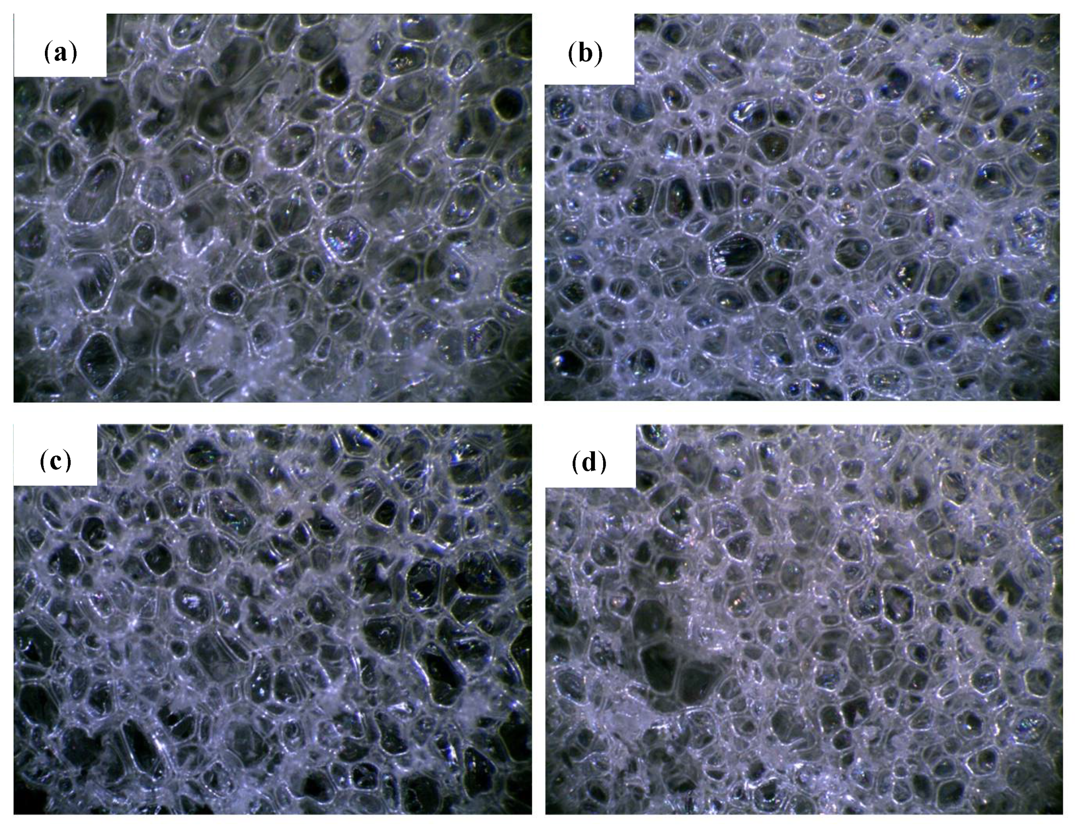 Molecules 26 03979 g001