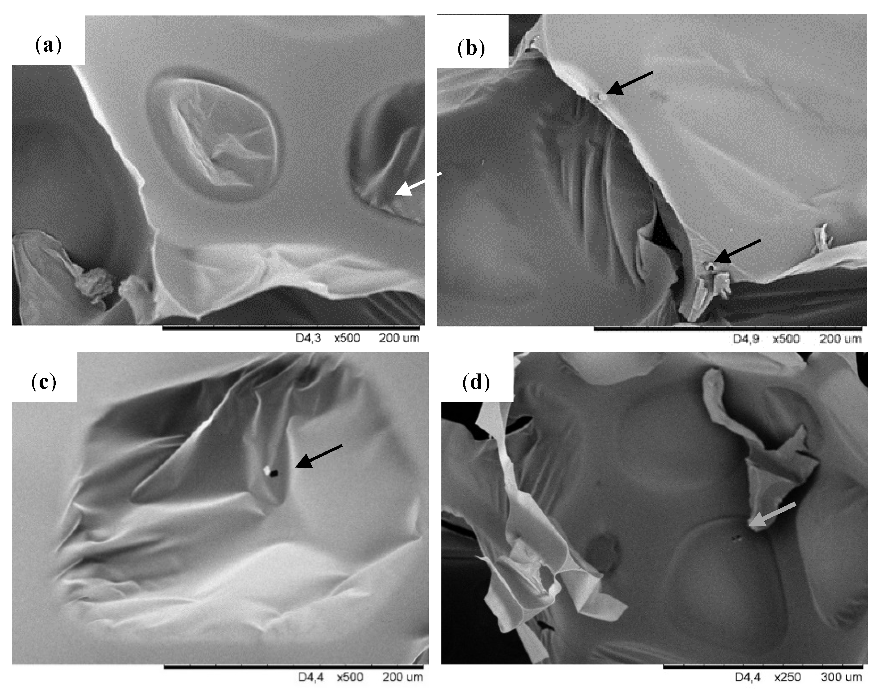 Molecules 26 03979 g002