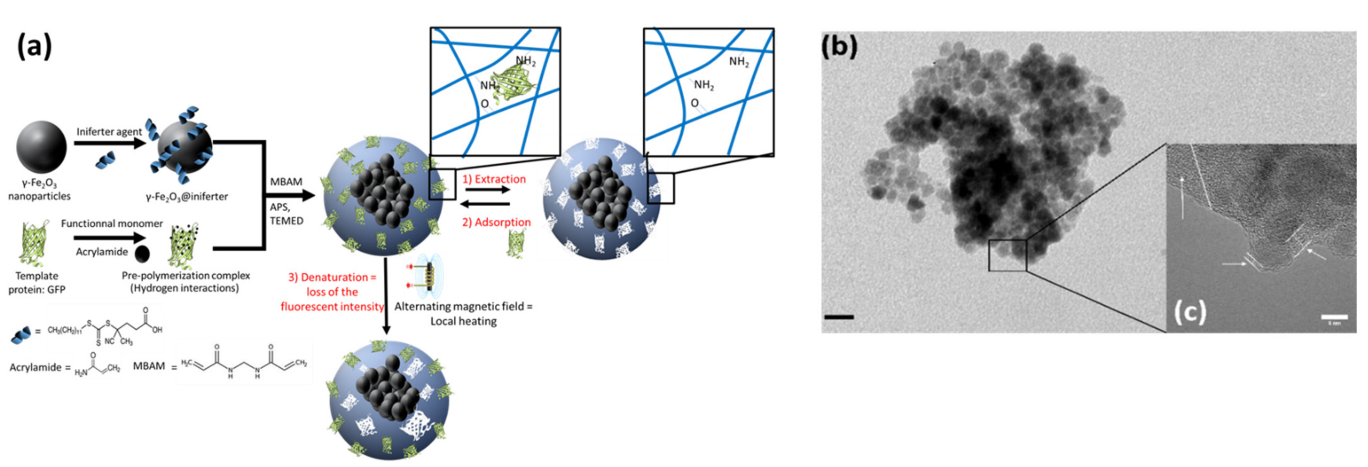 Molecules 26 03980 g001