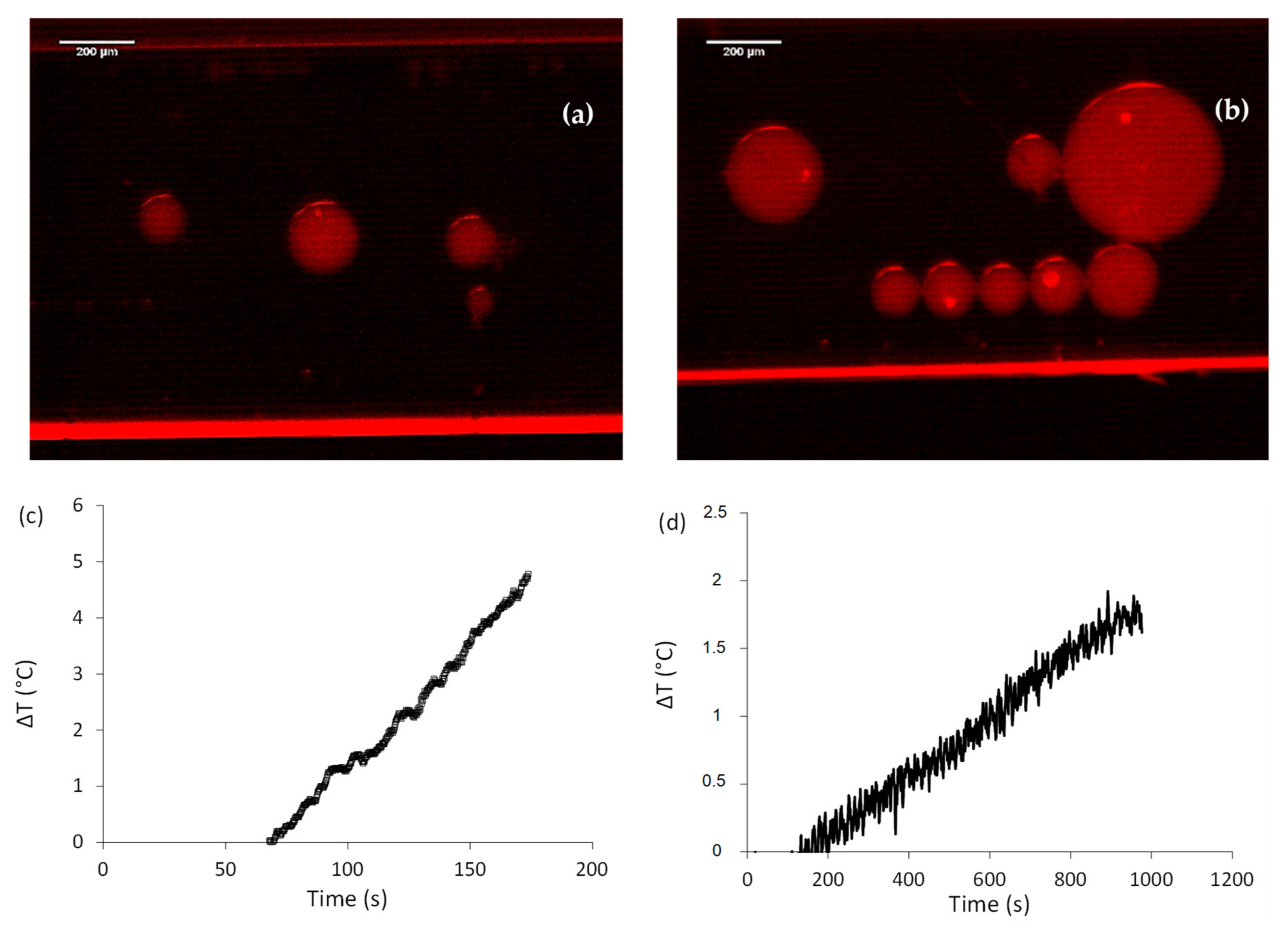 Molecules 26 03980 g003